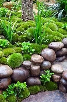 How To Create A Moss Garden 5 Steps Instructables