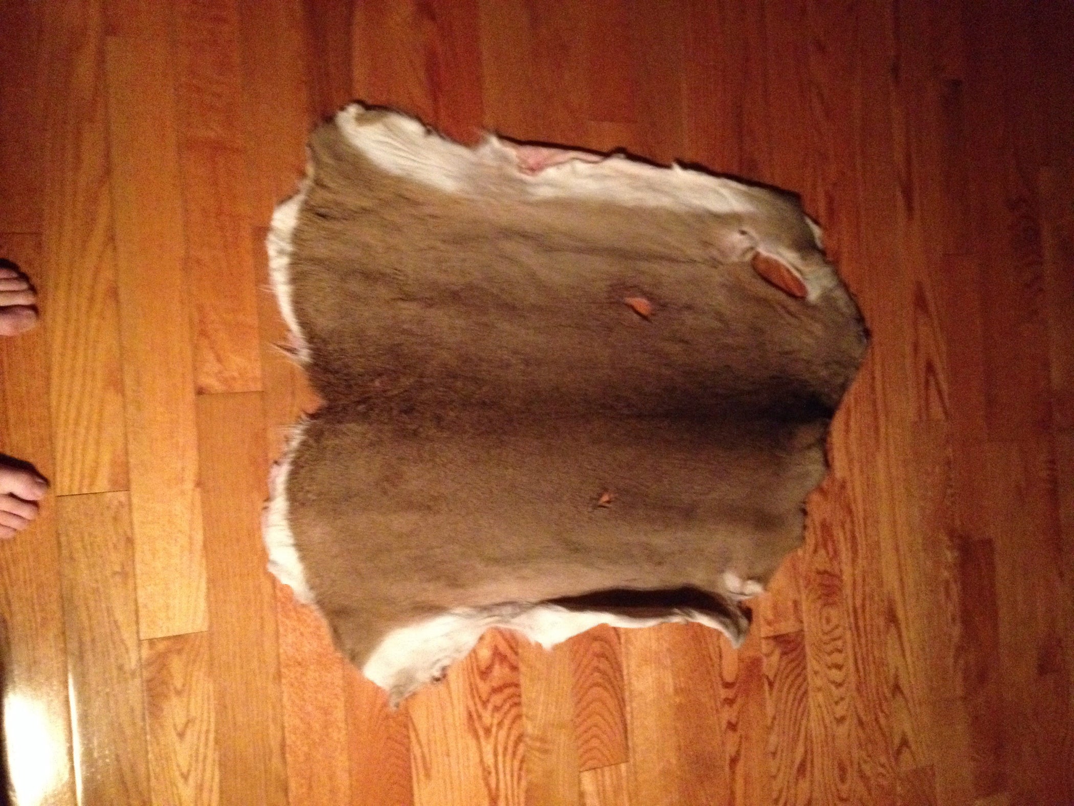 Deer Skin Rug 5 Steps Instructables