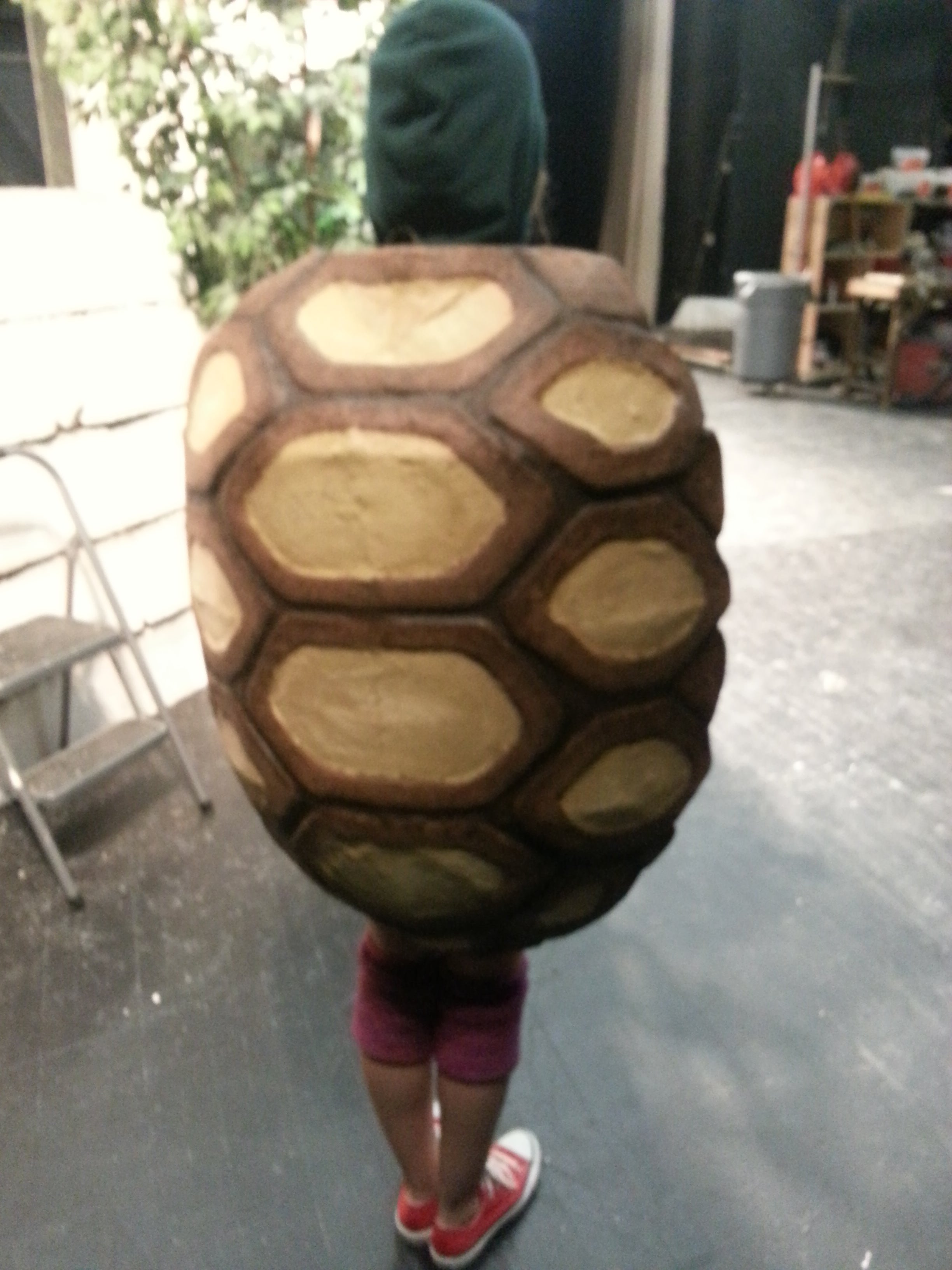 Apple tortoise costume tortoise halloween costume tortoise hat