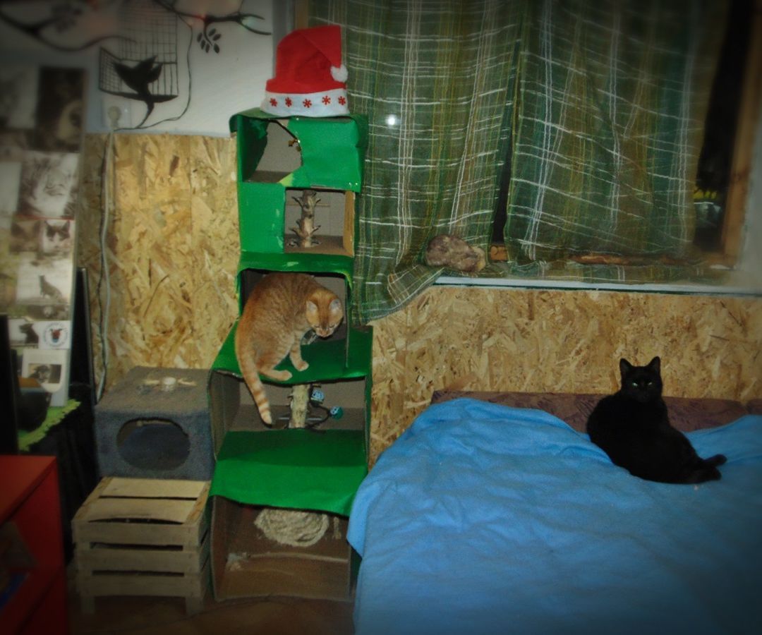 diy christmas tree - for cats DIY Project DIY Project Image