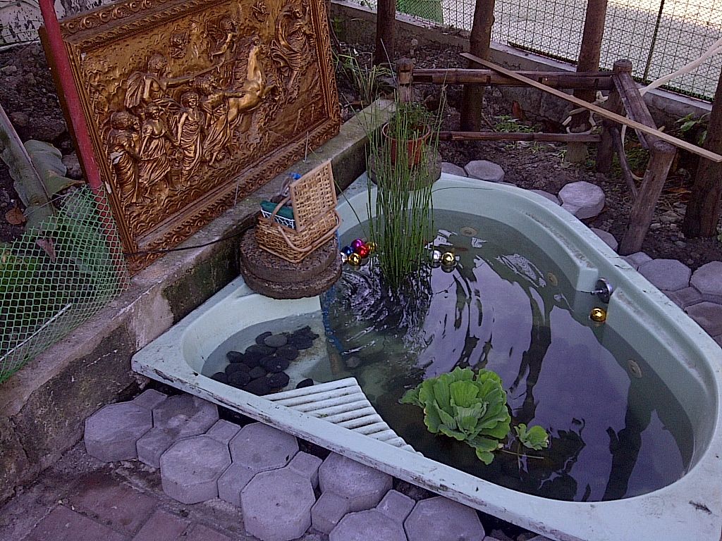 Jacuzzi Fish Pond 4 Steps Instructables