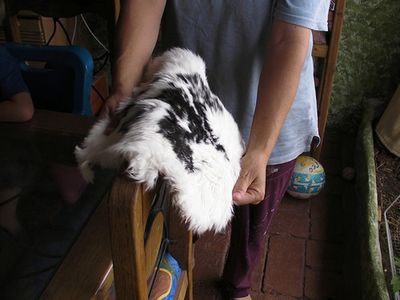 Make a Rabbit Fur Hat From Scratch : 5 Steps (with Pictures ...