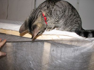 Cutting and Folding a Box Spring : 5 Steps (with Pictures) - Instructables