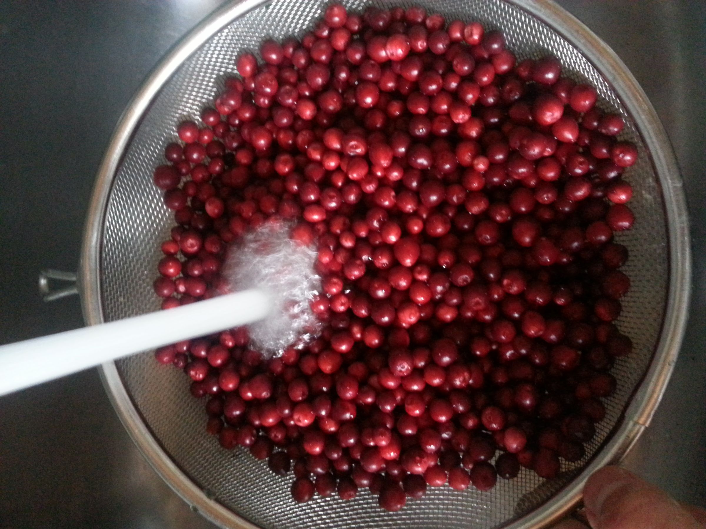 Spicy Wild Cranberry Chutney 5 Steps (with Pictures) Instructables