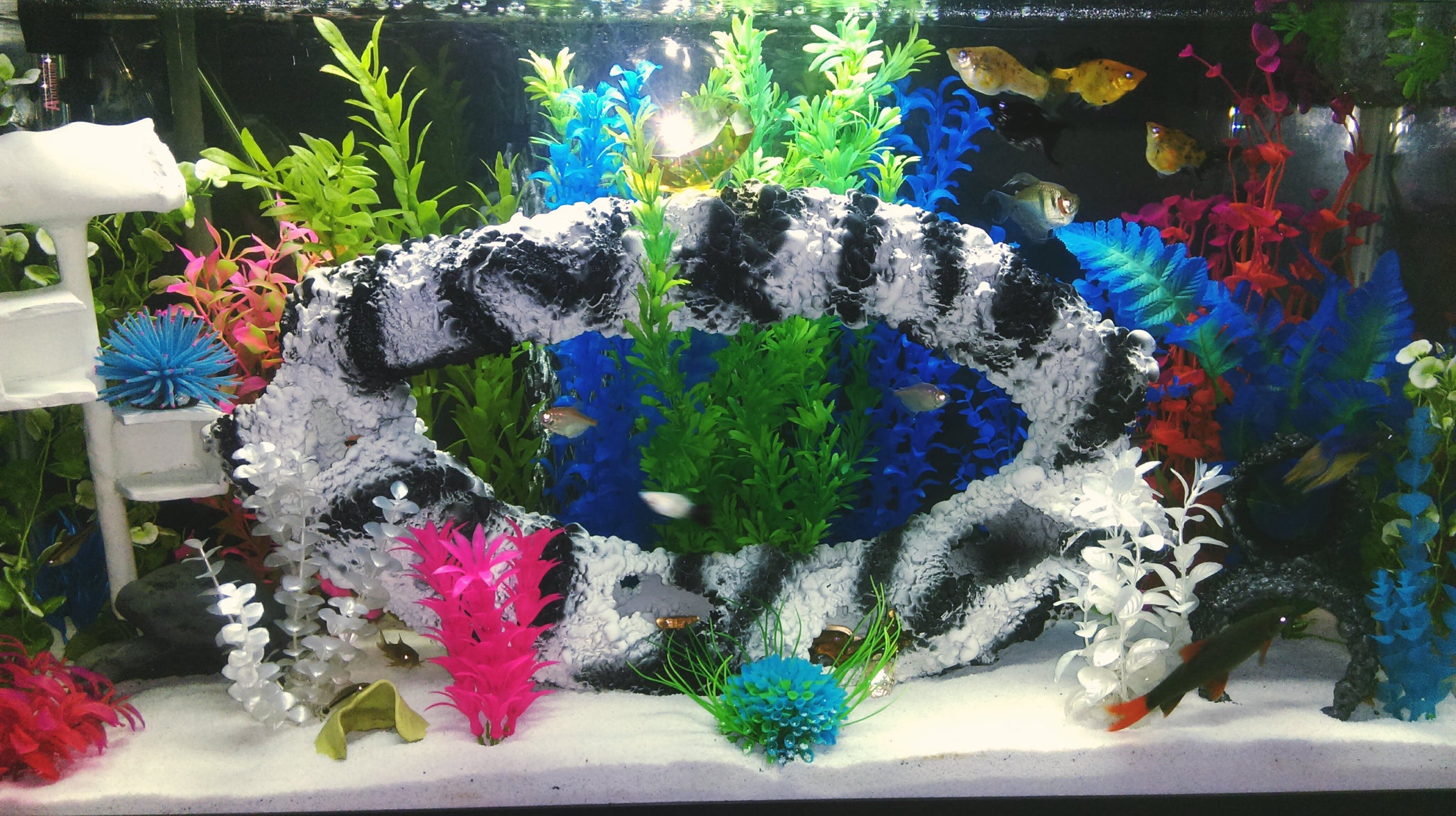 Homemade Aquarium Tunnel 7 Steps Instructables