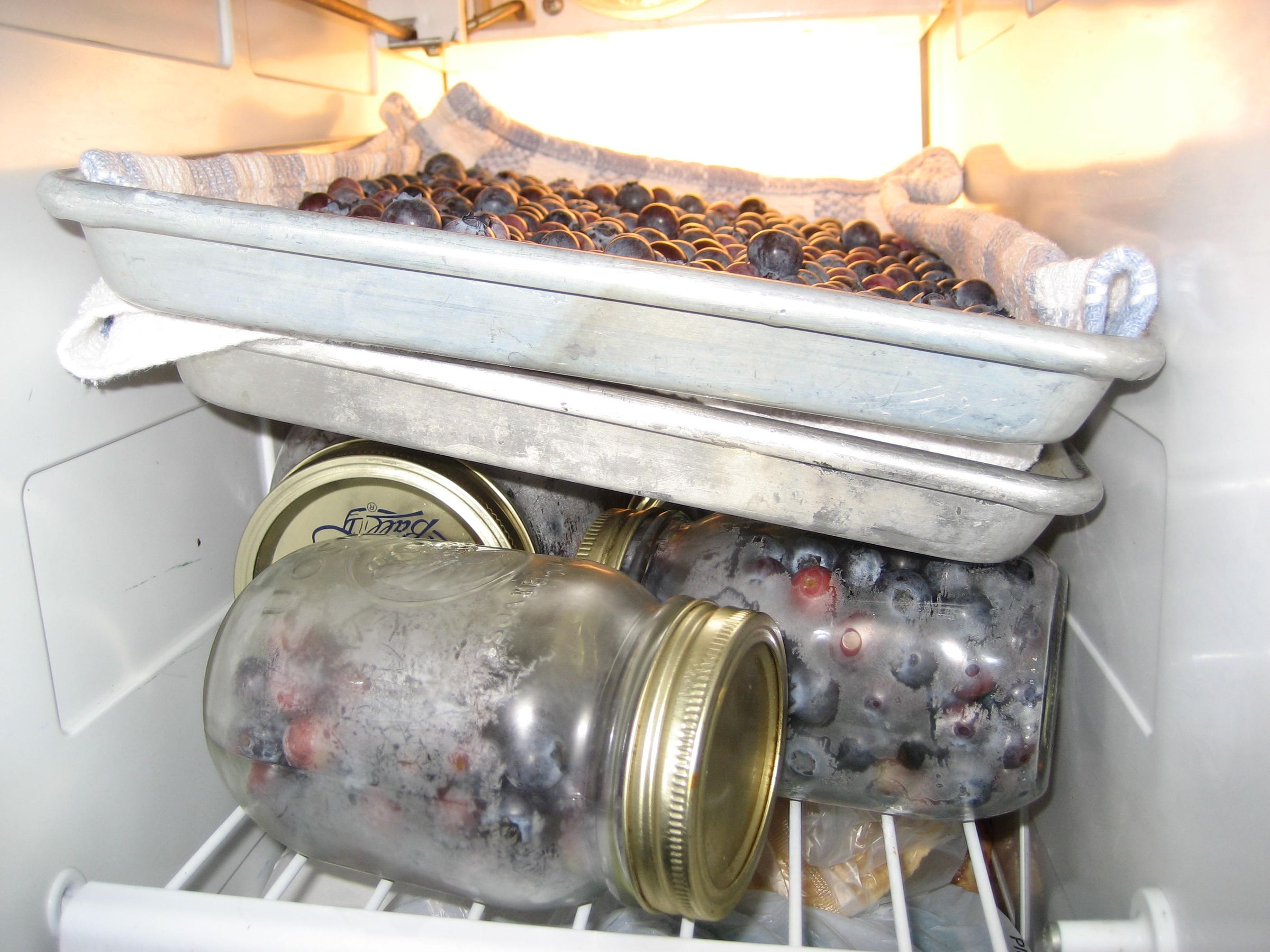 How to Freeze Blueberries 5 Steps (with Pictures) Instructables