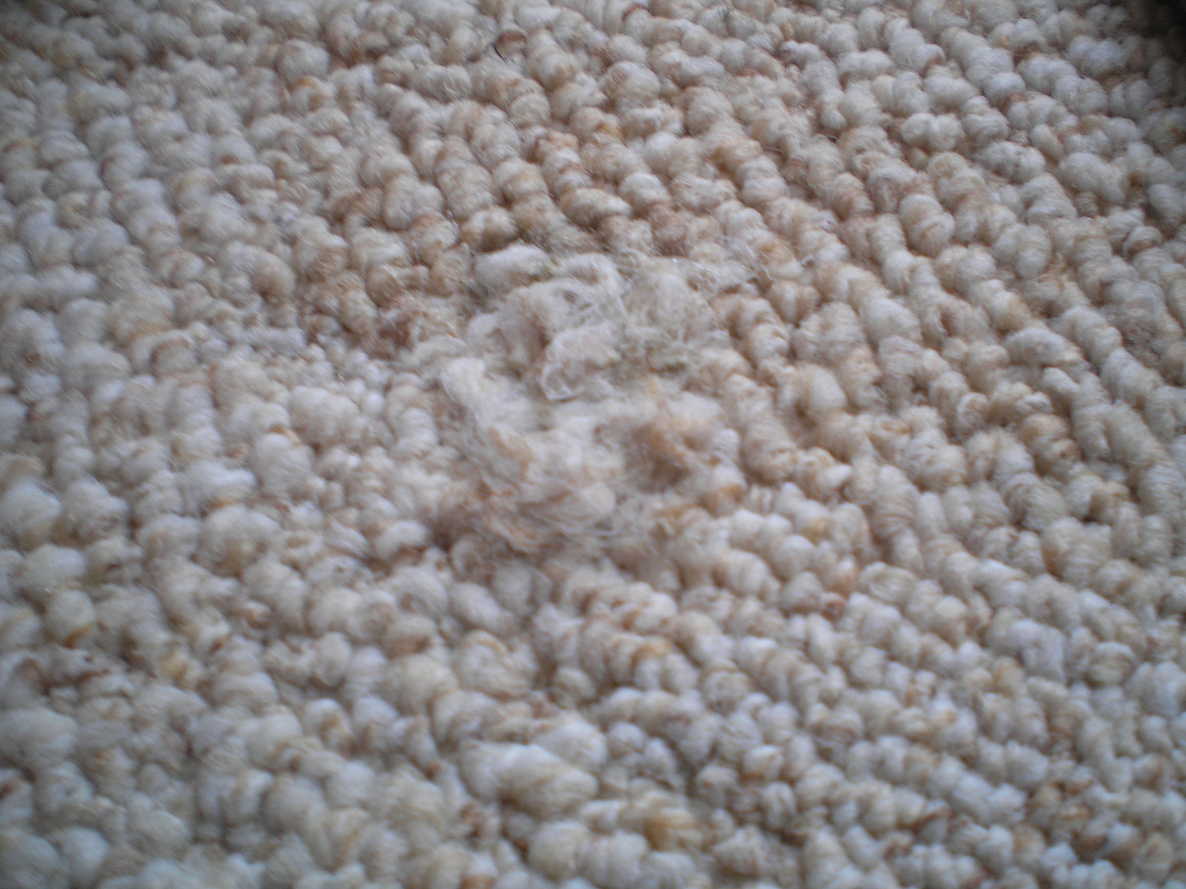 Repair Cigarette Burns on Carpet 4 Steps (with Pictures) Instructables