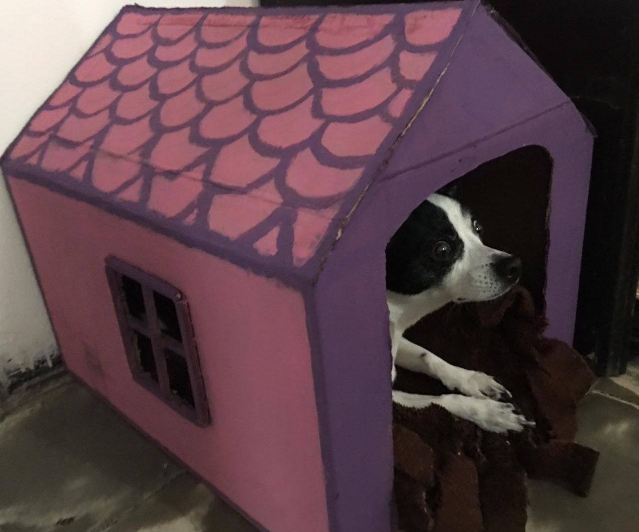 HIDEY HOUSE FOR FURRY FRIENDS!!! 10 Steps Instructables
