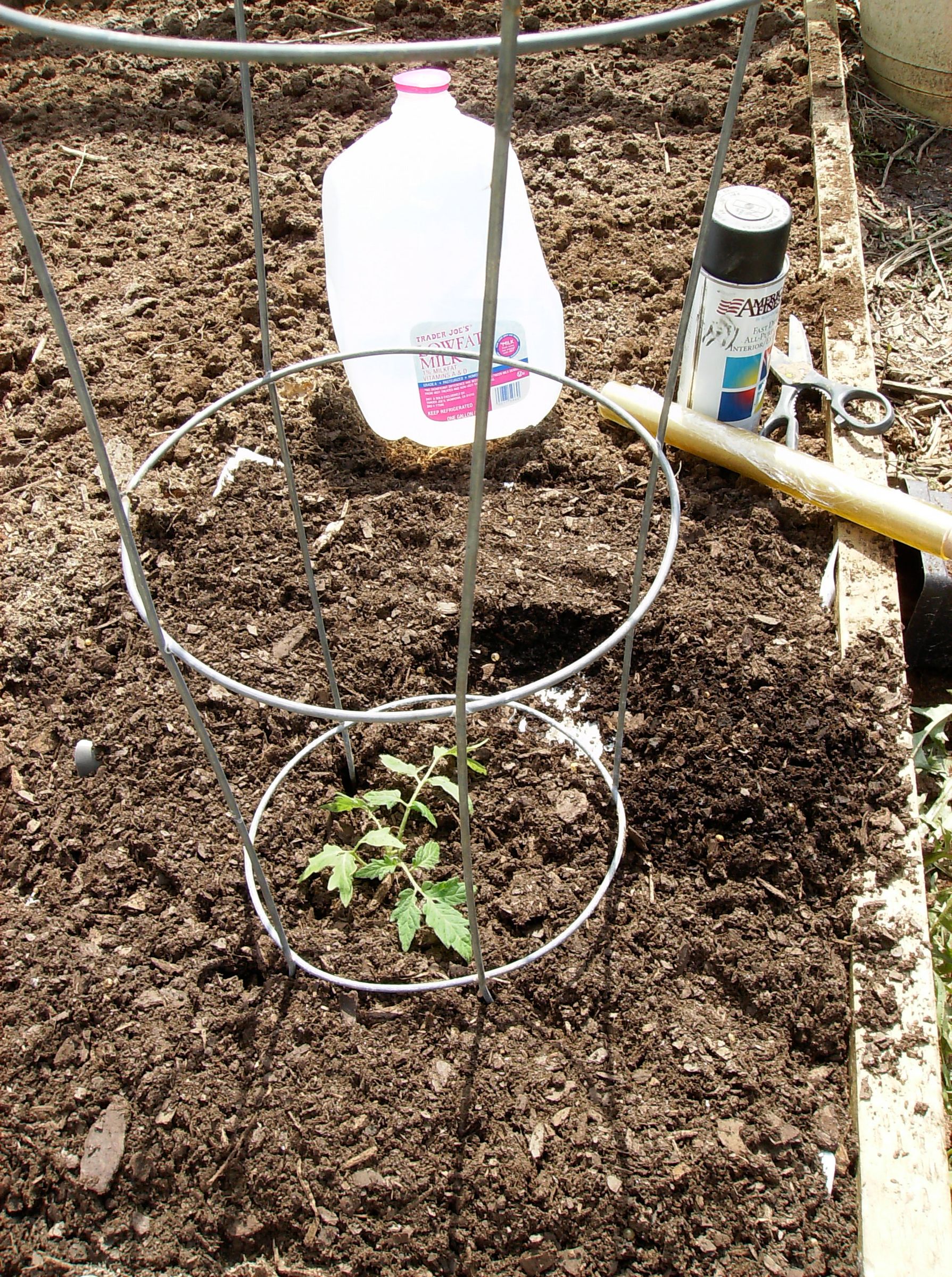 How to Quickly Build a HotHouse Tomato Cage 6 Steps Instructables