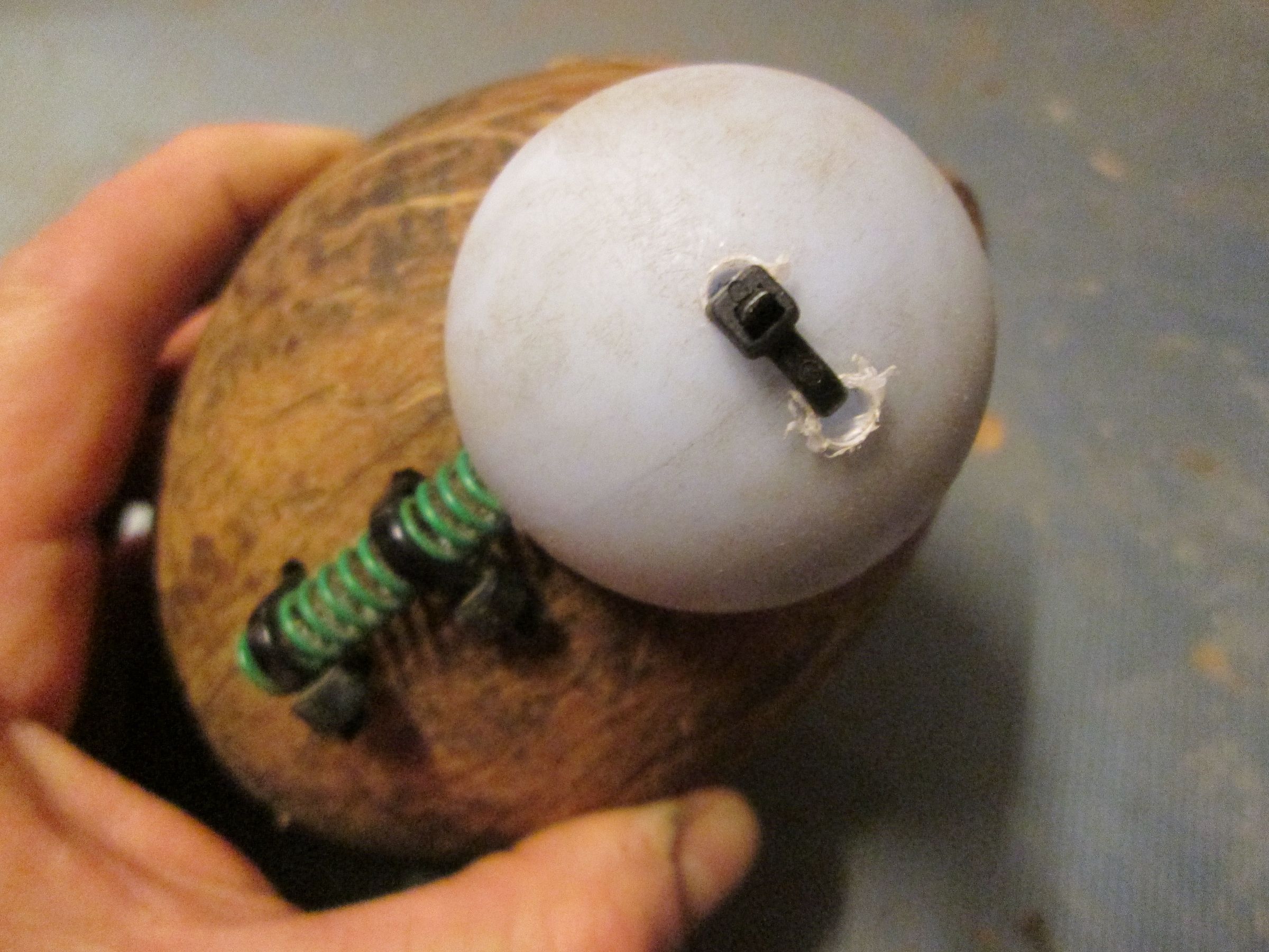 Coconut Mouse Trap 4 Steps (with Pictures) Instructables