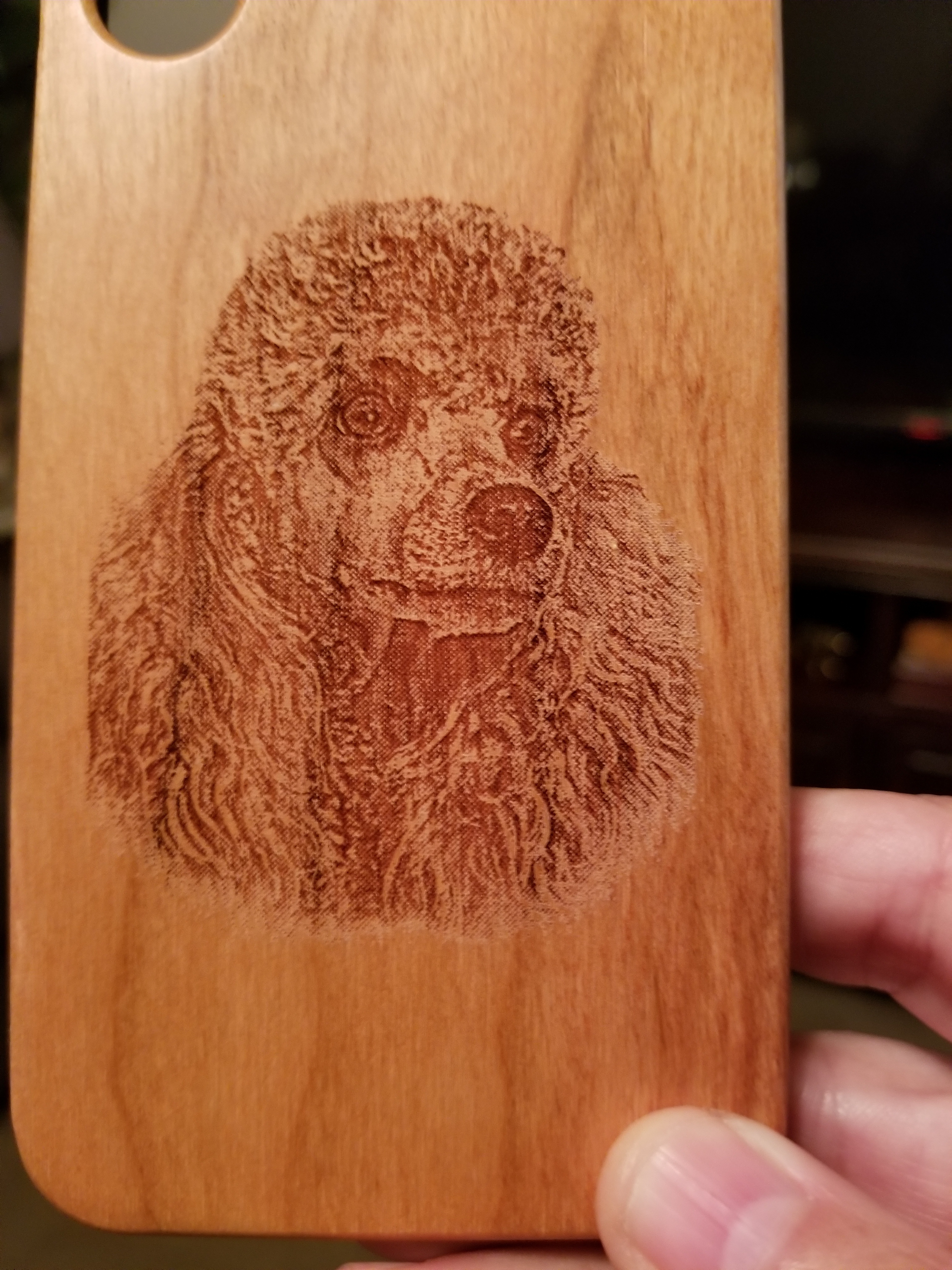 Howto Laser Engraving Photo 12 Steps (with Pictures) Instructables