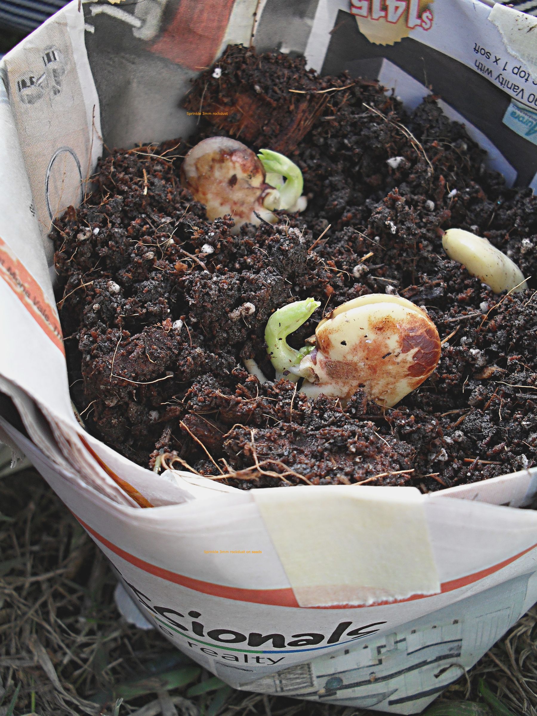 Sew a GrowBag or Upside Down Planter Bag (with Pictures) Instructables