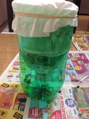 Homemade Water Filter 13 Steps Instructables