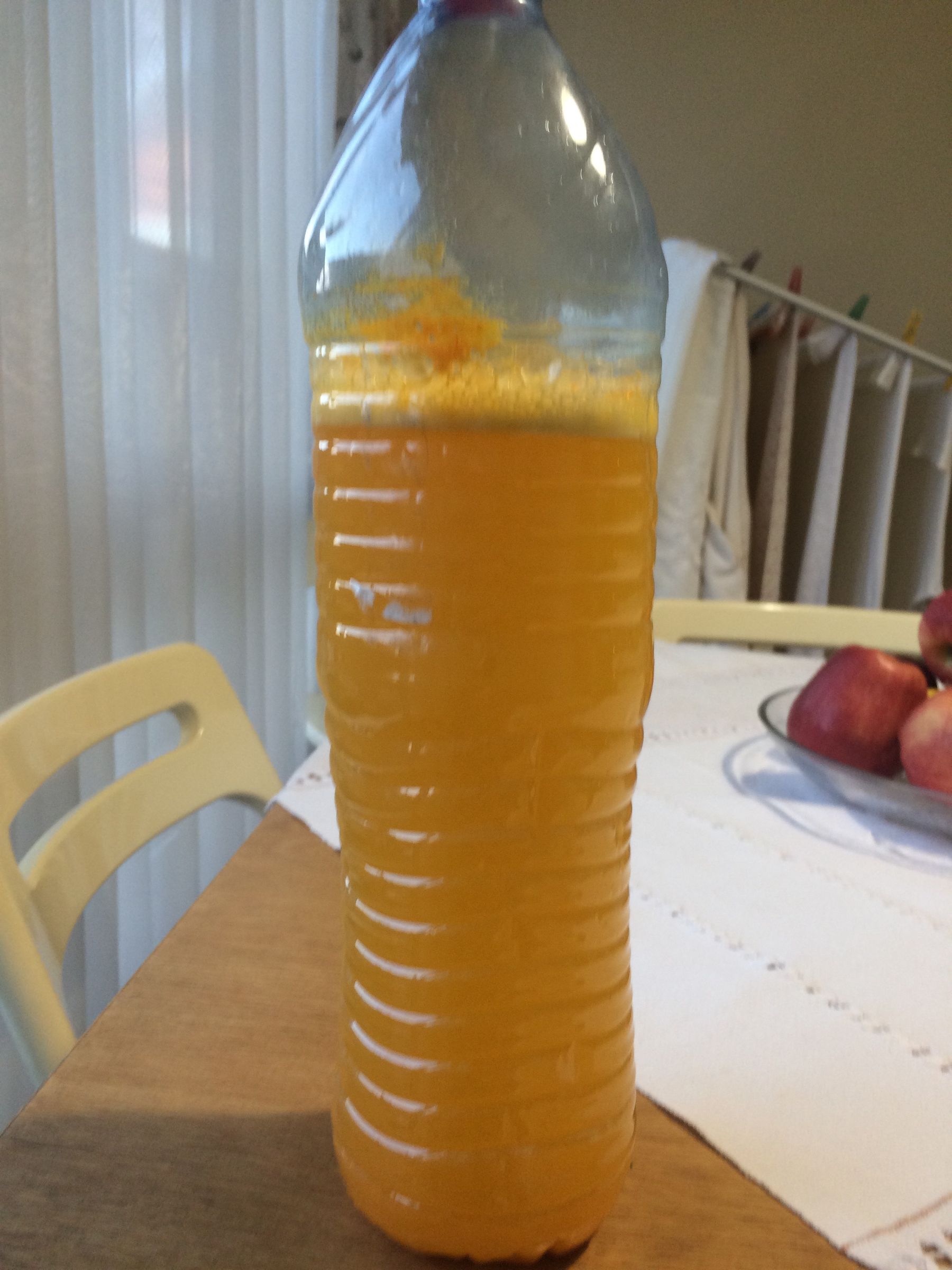 How to Make Super Cheap Homebrew Kool Aid Wine/Alcohol/Kilju 7 Steps