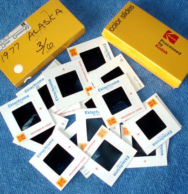 Slide Digitizing - Super Low Tech