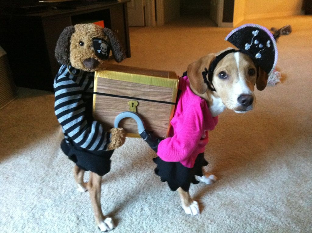 arg! bury the booty DIY Project DIY Project Image