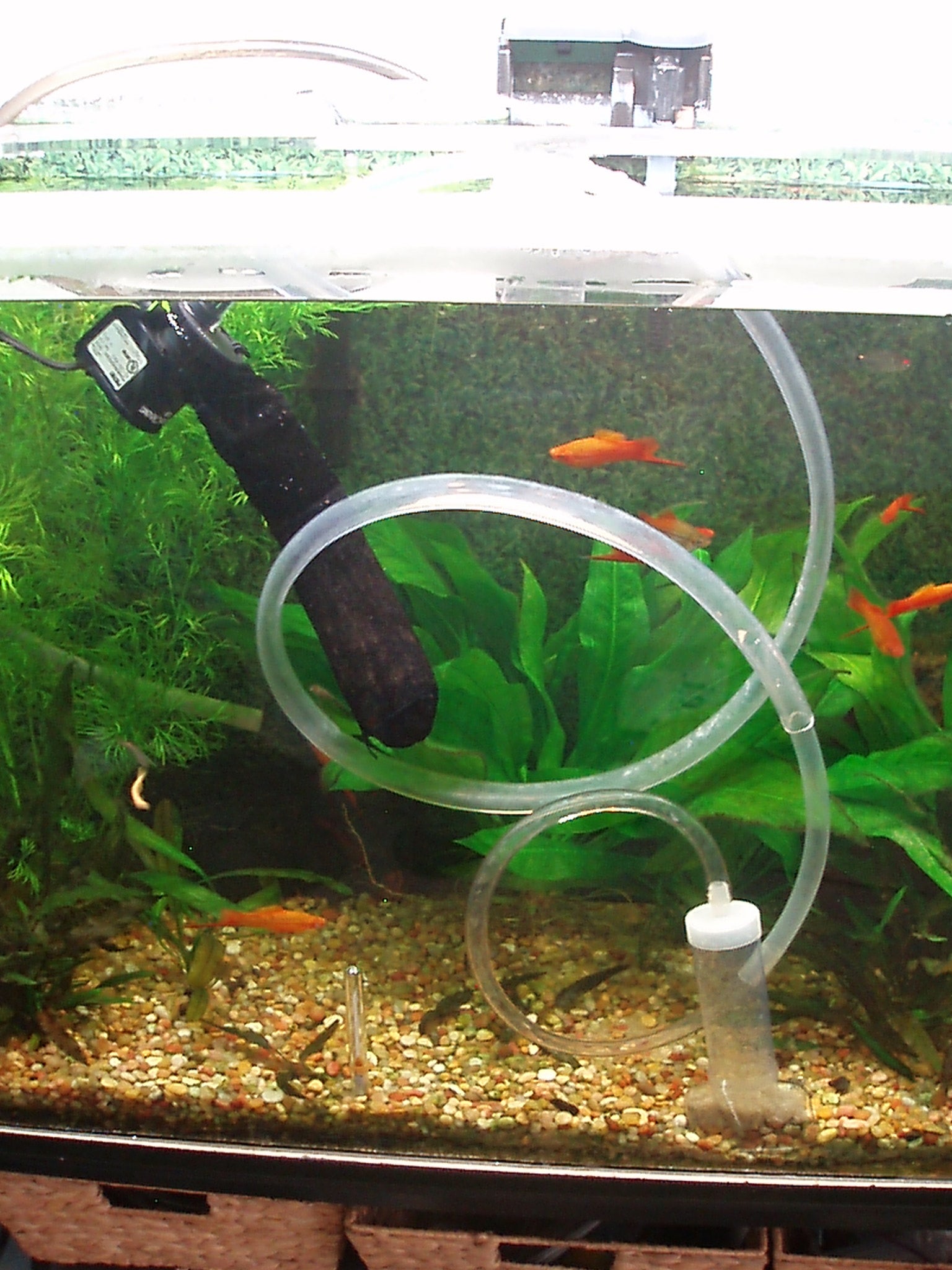 Powered Gravel Vacuum for Aquariums 6 Steps Instructables
