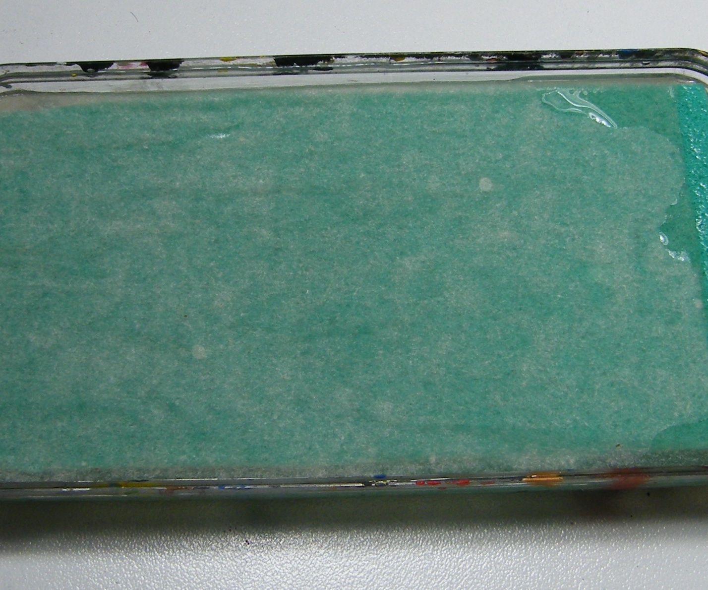 wet painting palette DIY Project DIY Project Image