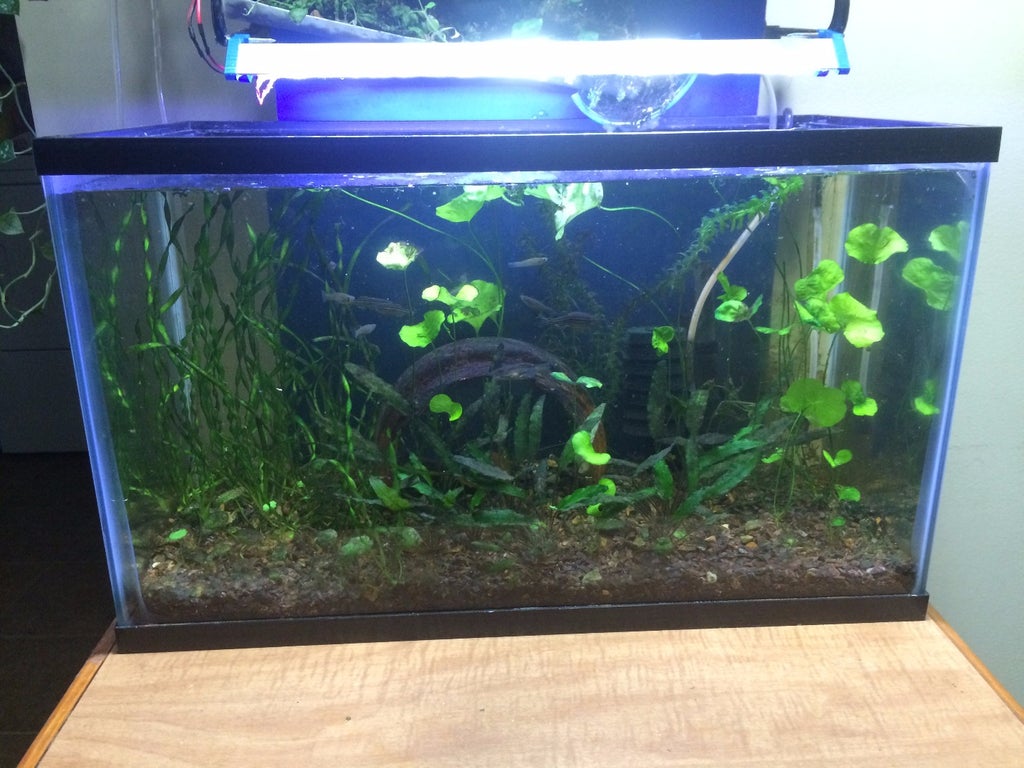 aquarium light from led strips 8