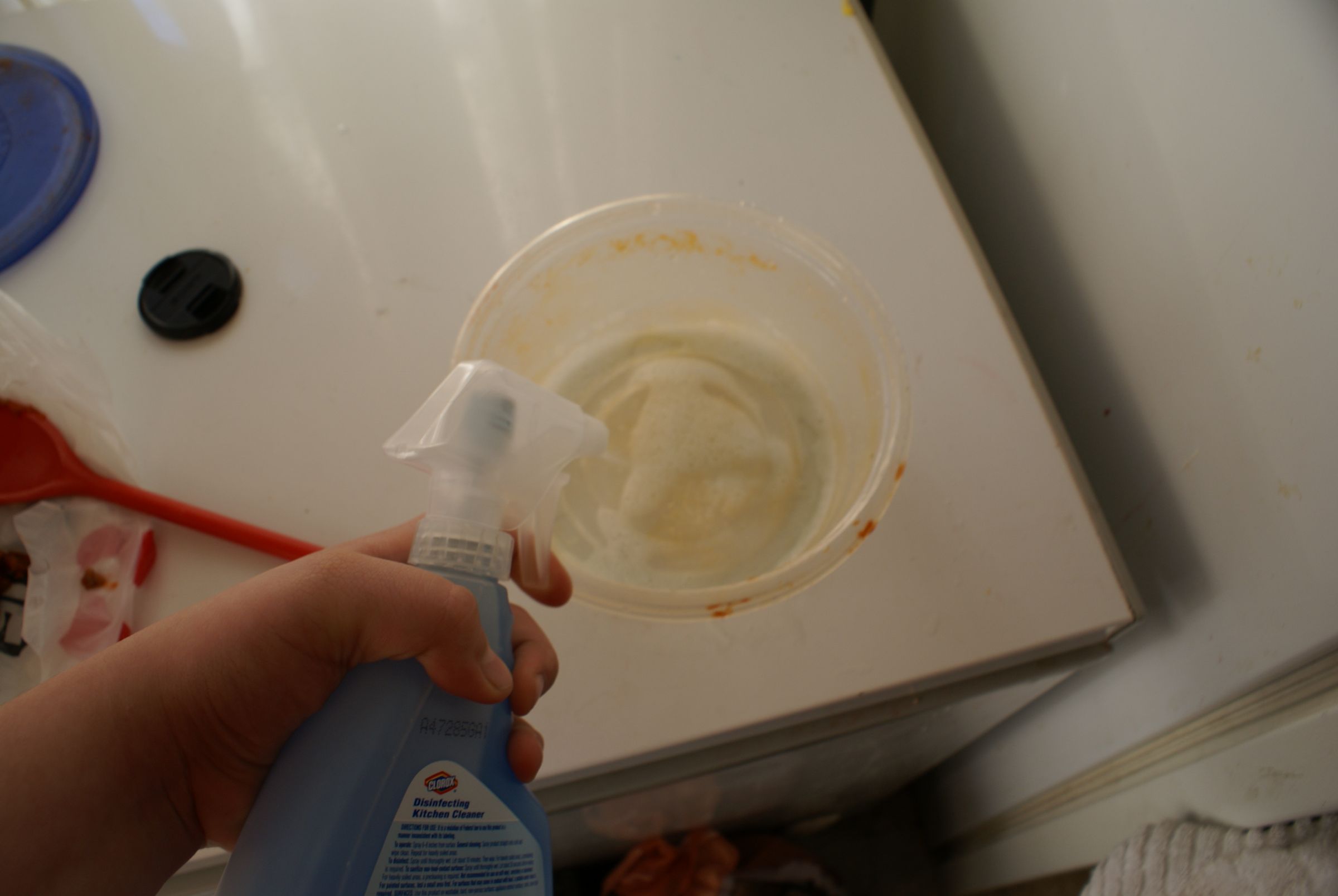 How to Successfully Clean a Nasty Plastic Bowl Stain. 4 Steps