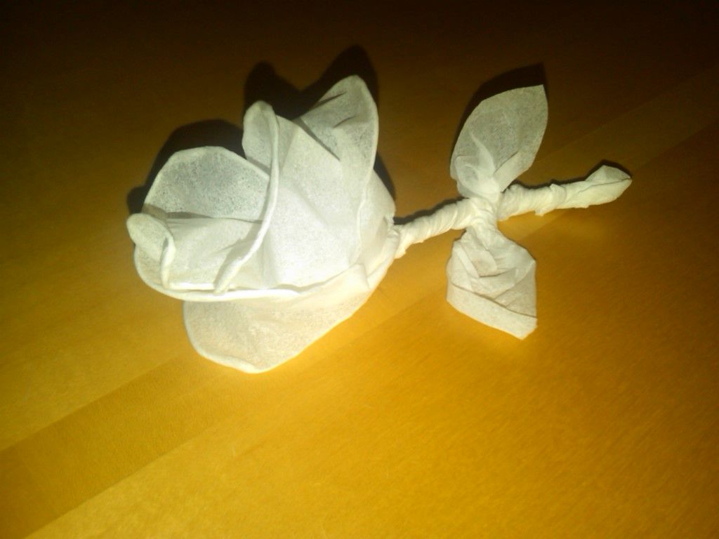 a twist on a tissue rose DIY Project DIY Project Image