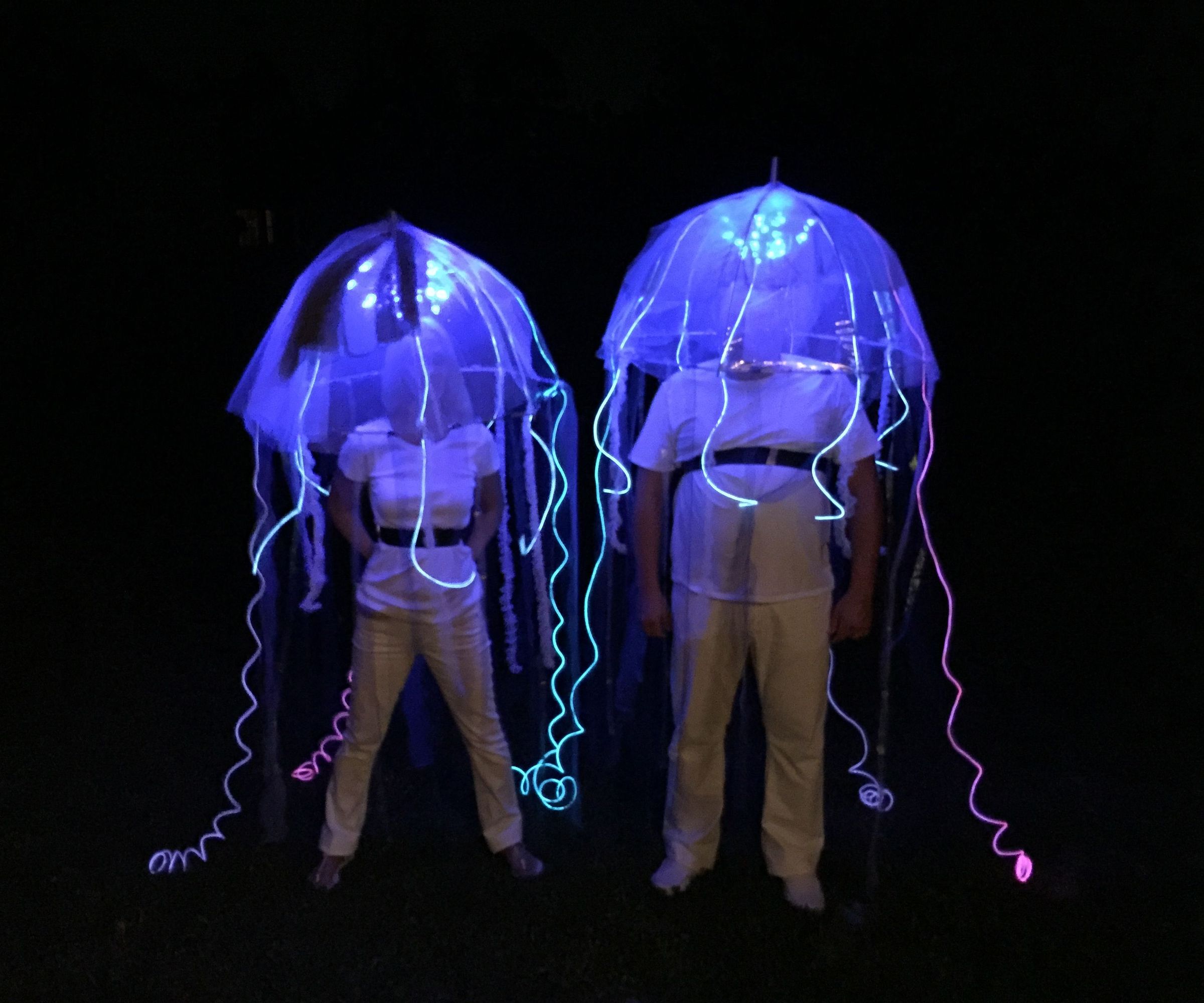 a "bloom" of jellyfish DIY Project DIY Project Image