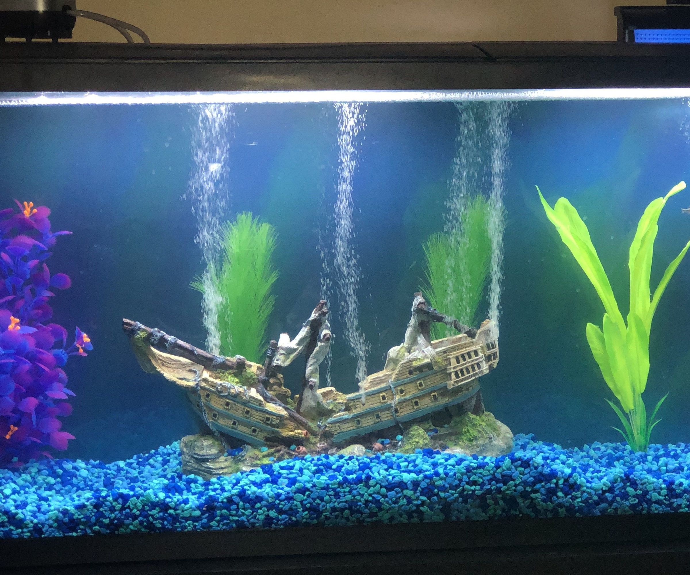 Step-by-step guide for simple aquarium background DIY Project DIY project