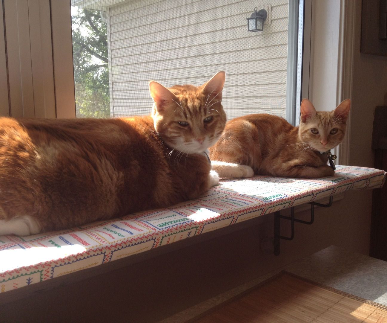 cat ledge for window