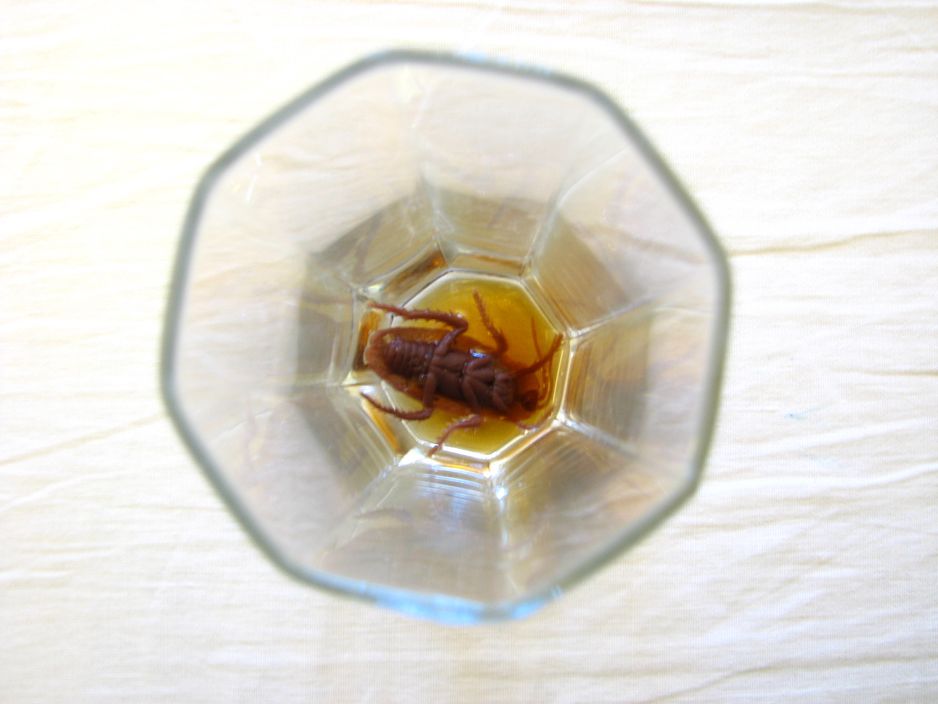 Coffee Roach ! Instructables