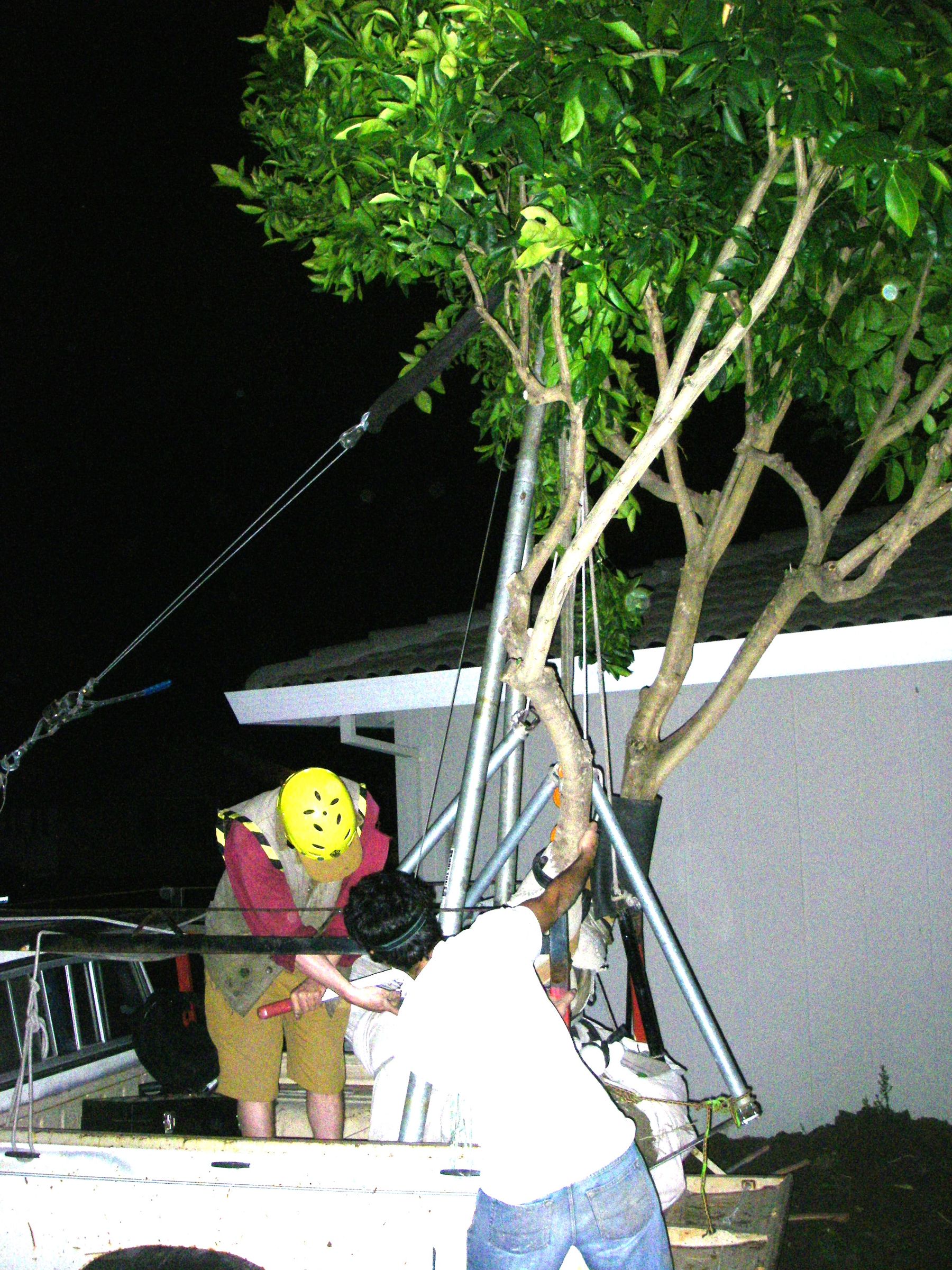 How to Move a Tree, Vehicle and A-frame Method : 17 Steps (with ...