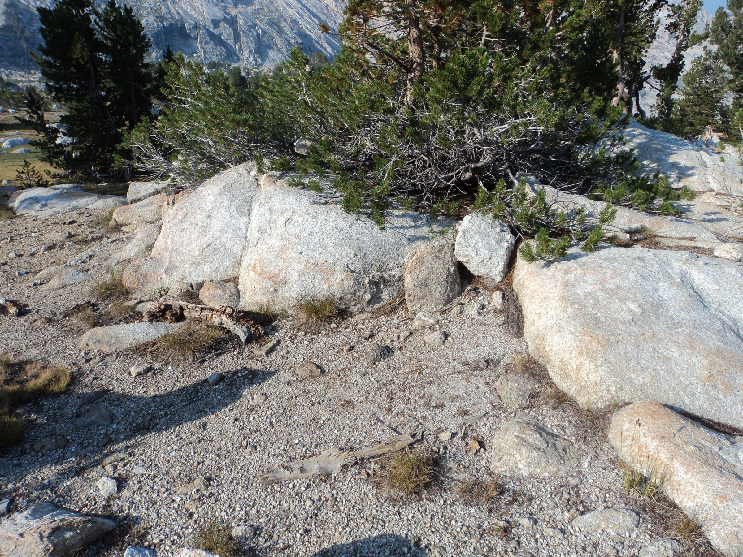 Going to the Bathroom in the Wilderness 6 Steps Instructables