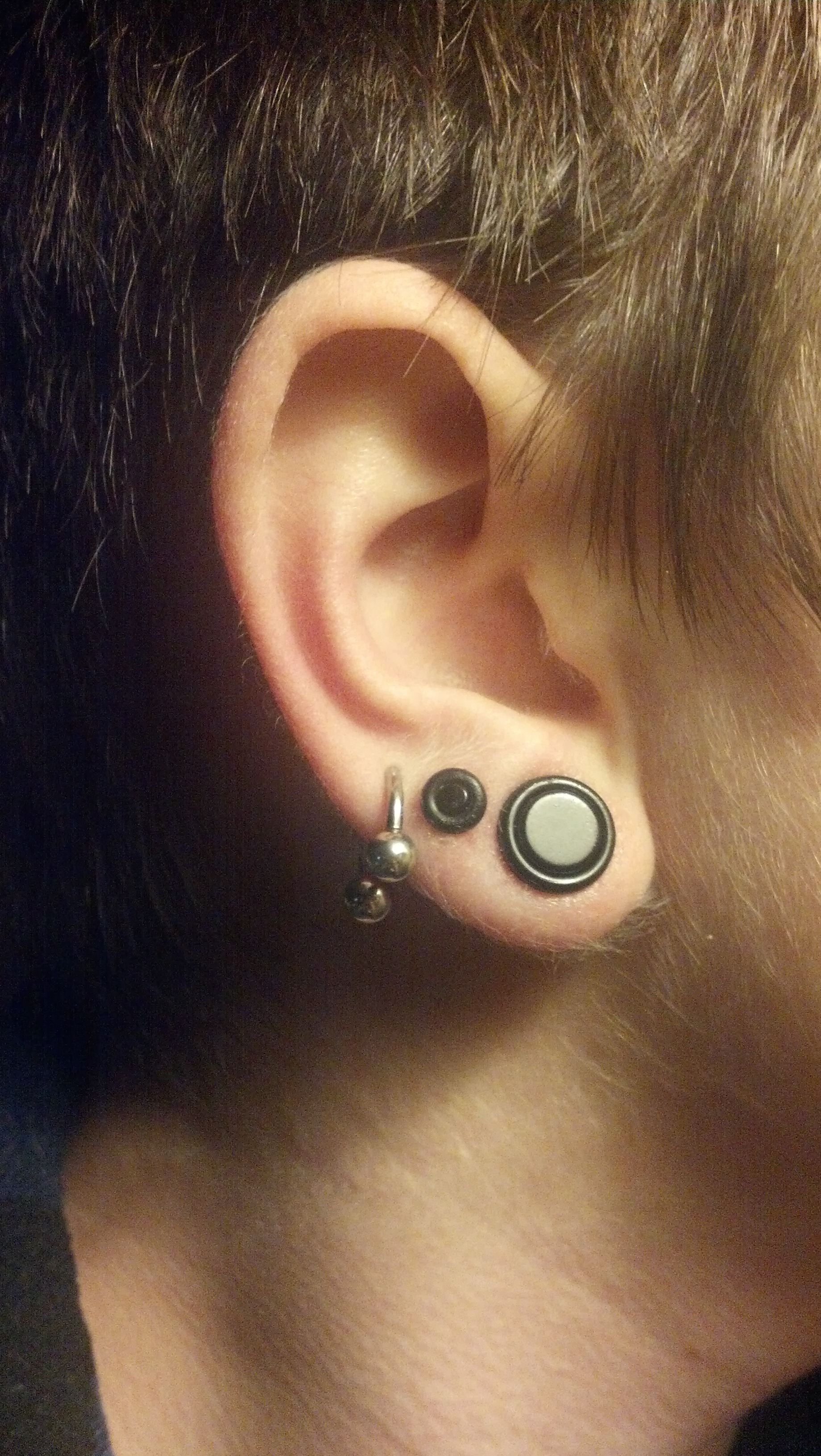 ear gauge websites