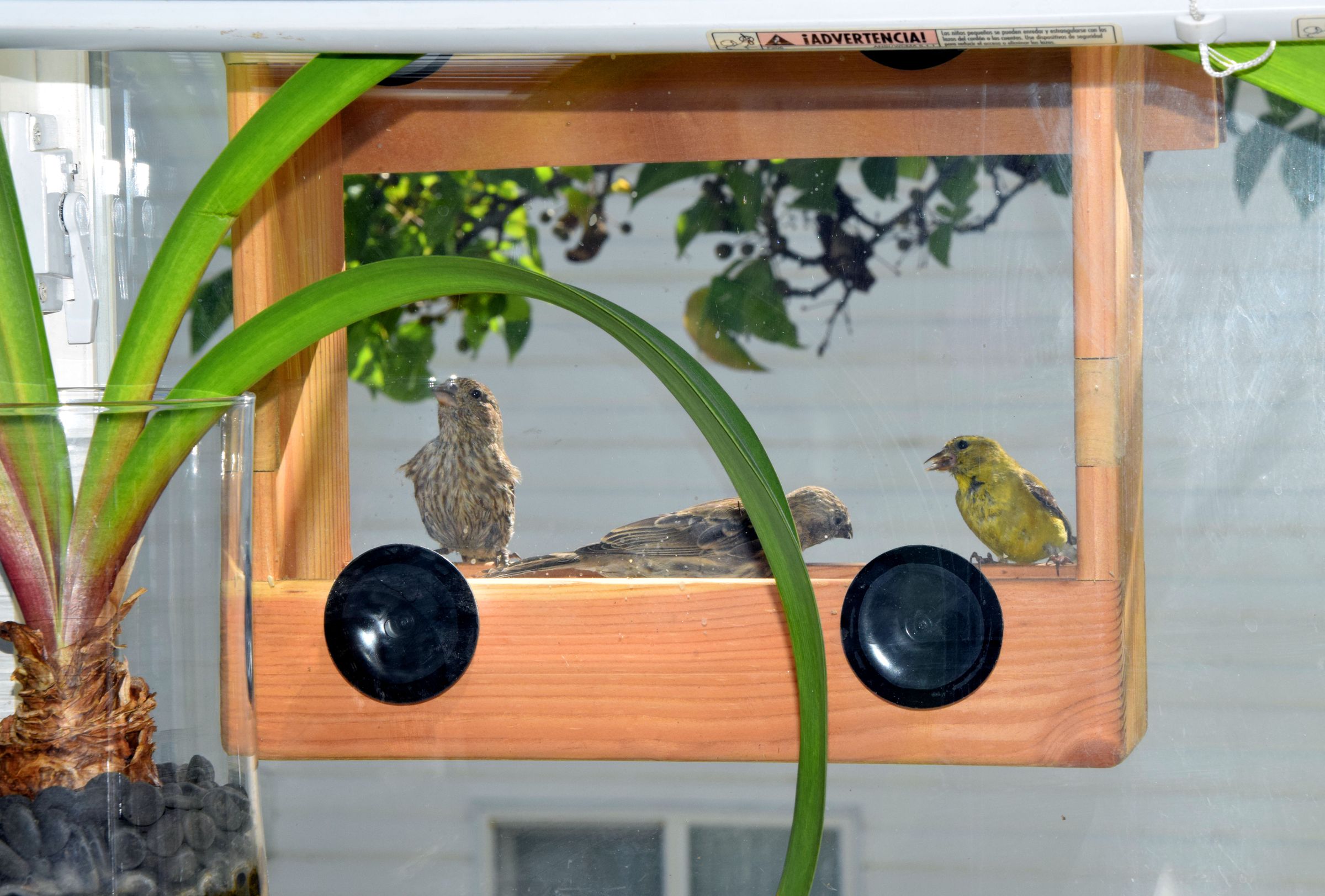 Window Bird Feeder 13 Steps (with Pictures) Instructables