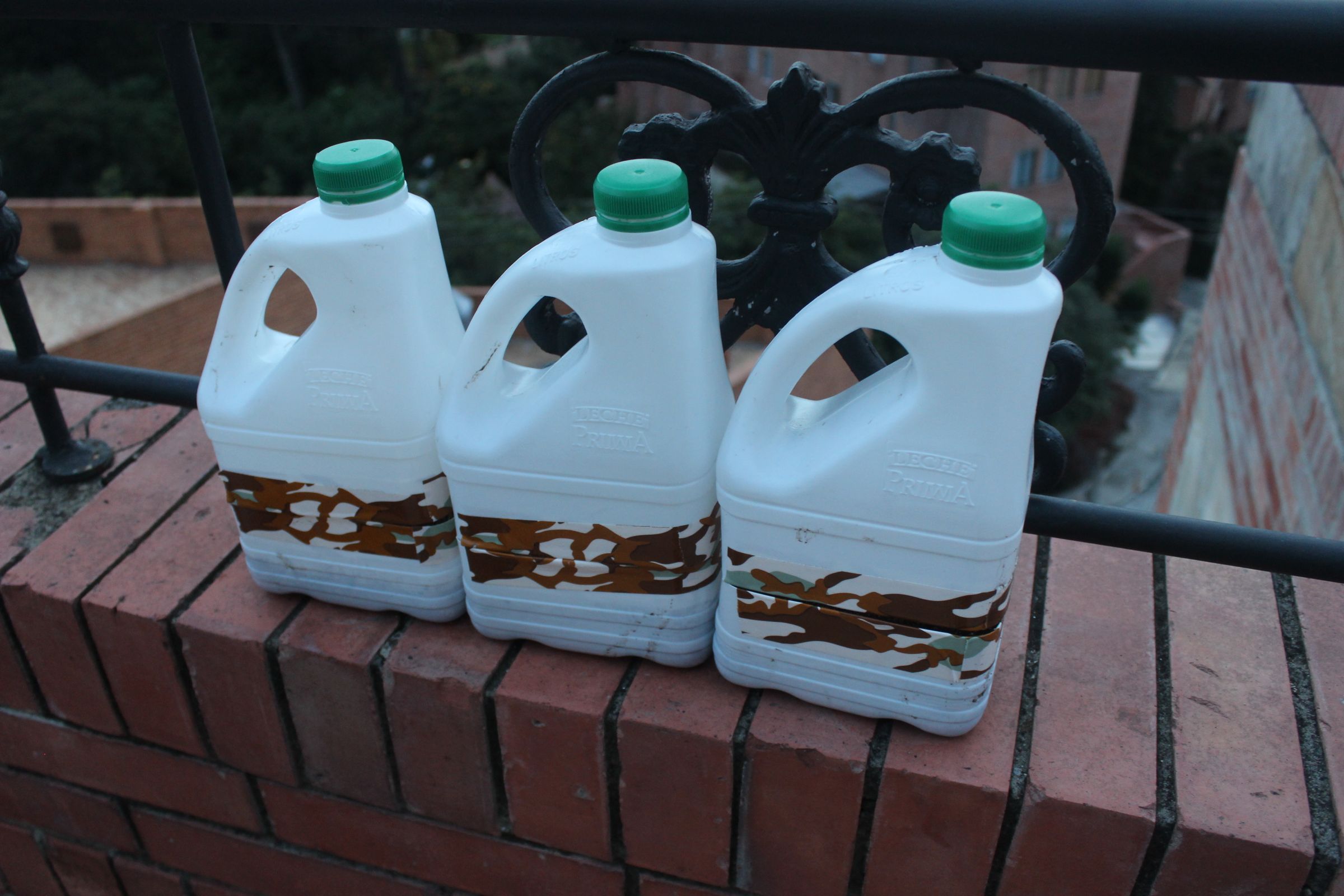 Mini Milk Jug Greenhouse 3 Steps (with Pictures) Instructables