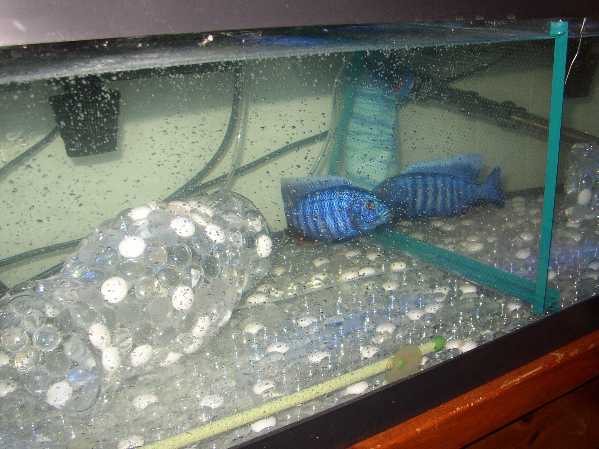 Aquarium Pebble Mats 3 Steps Instructables