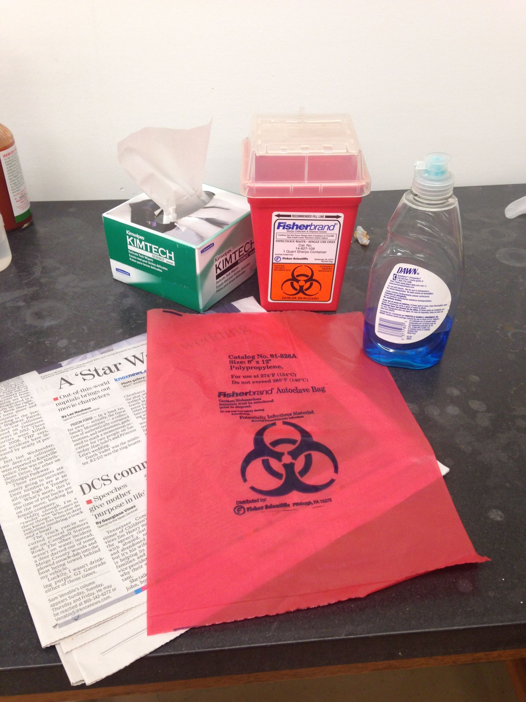 How to Properly Dispose of an American Bullfrog After Dissection 11