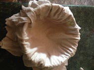 Coe a argila com um pano de algodão...