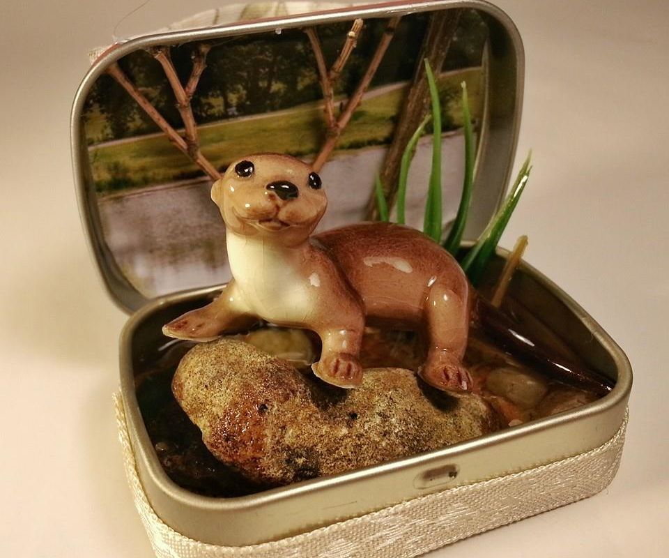 Little Habitat : 9 Steps (with Pictures) - Instructables