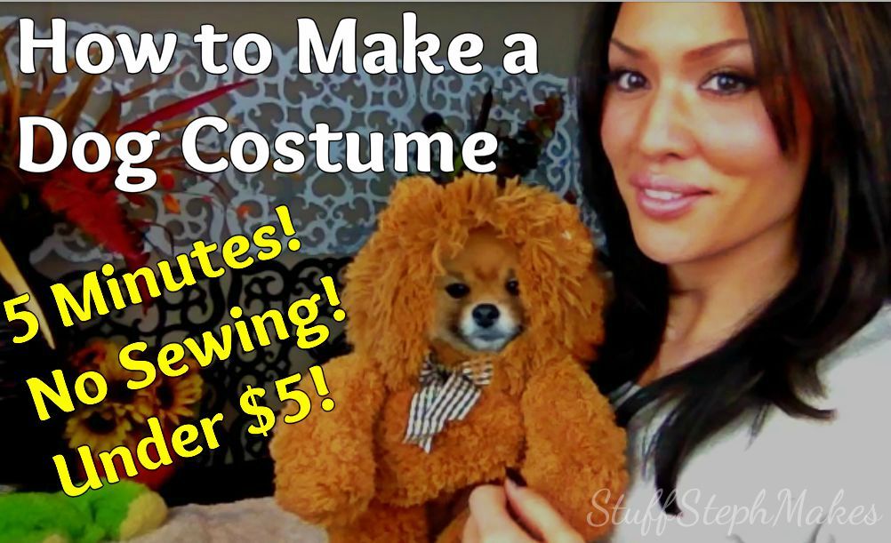 Halloween Pet Costumes Instructables