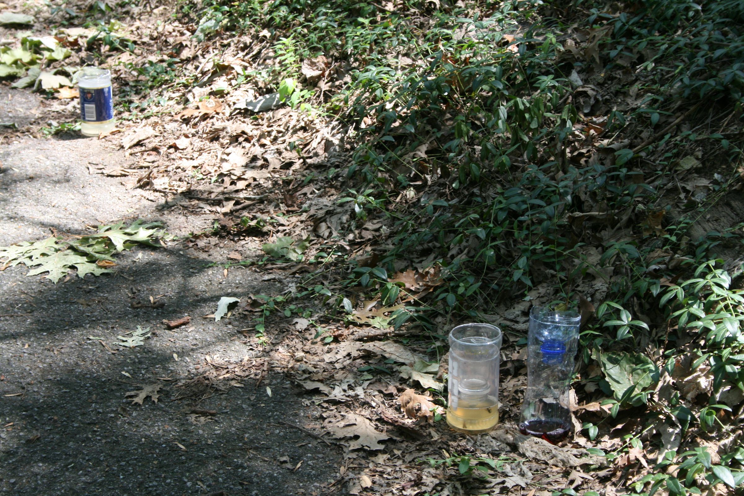 DIY Yellow Jacket Bottle Trap 8 Steps (with Pictures) Instructables