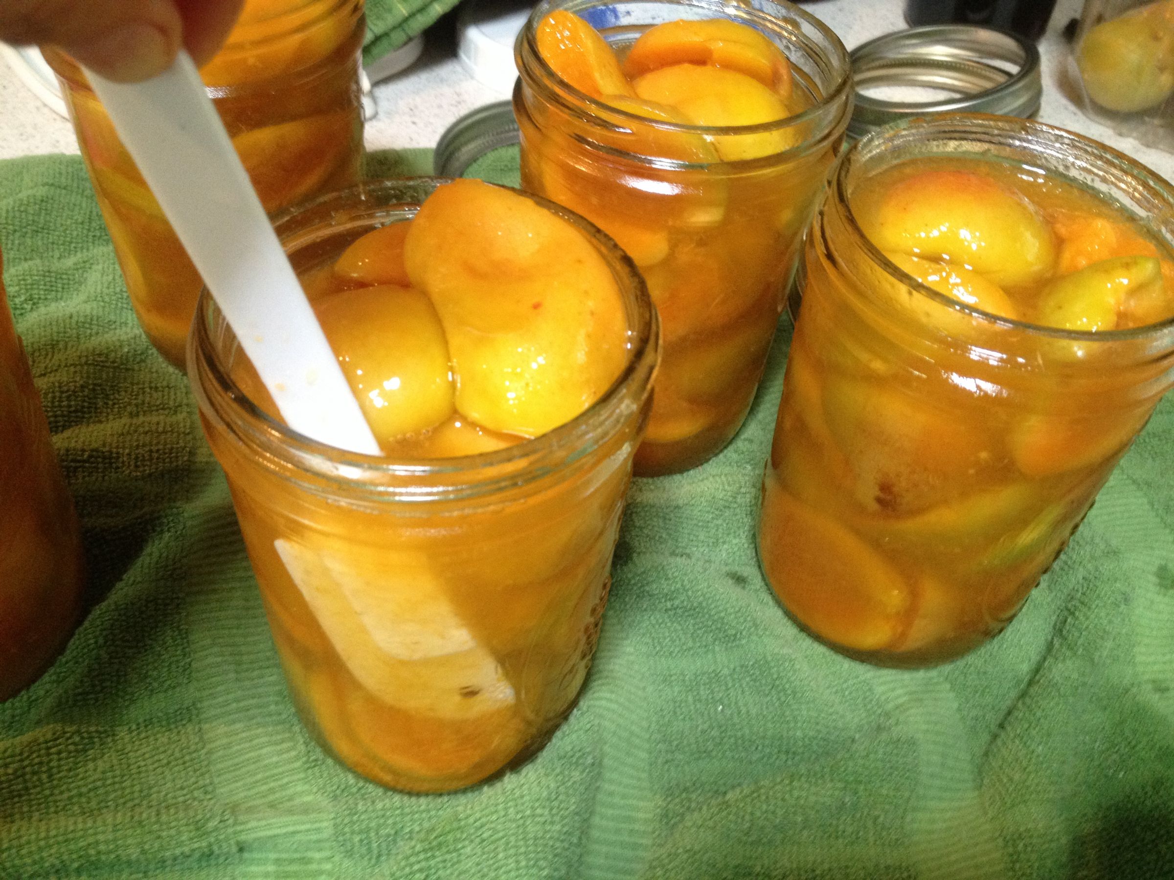 Honey Apricots 3 Steps Instructables