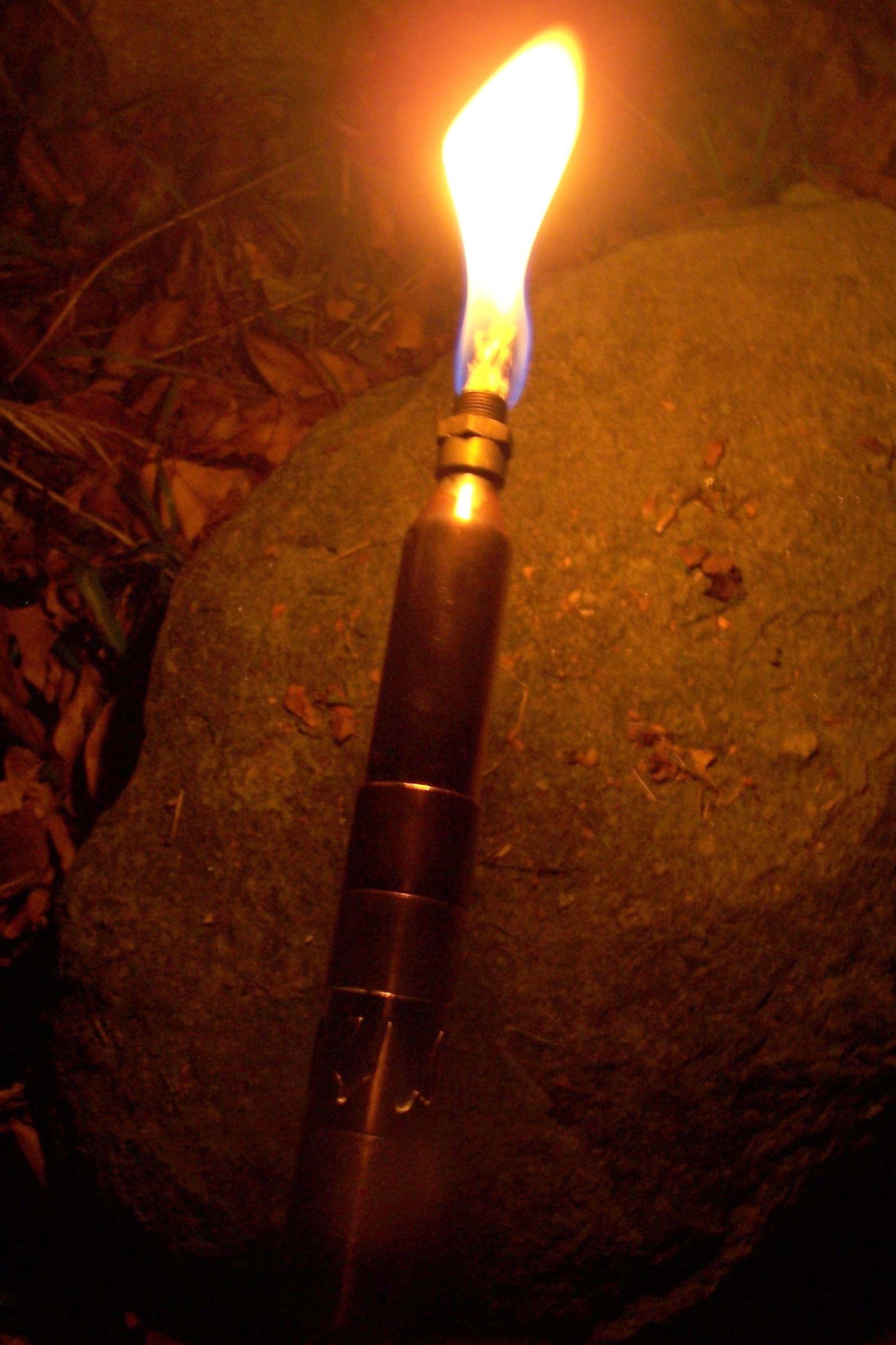 Multifunction Walking Stick III Torch Bearer 9 Steps (with