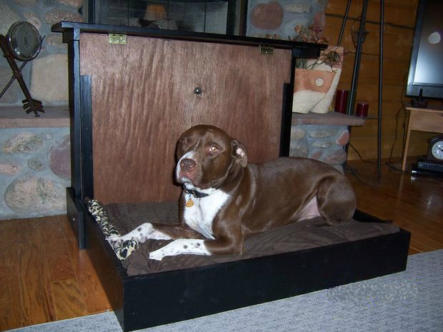 large dog murphy bed