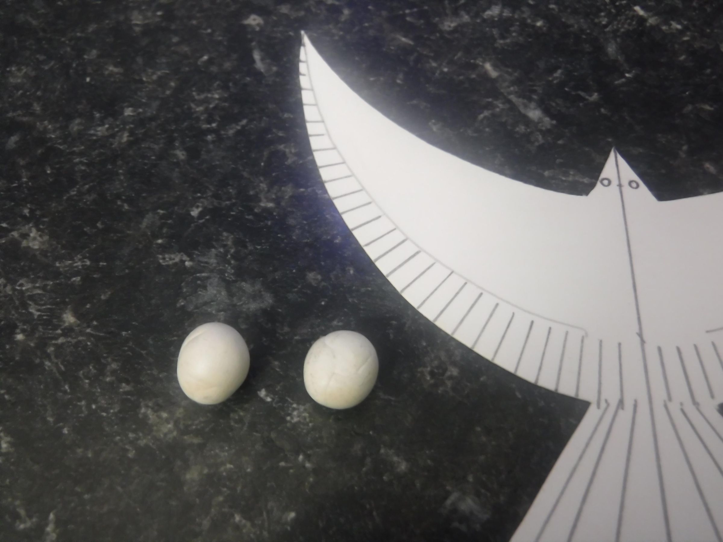 Balance Bird 6 Steps (with Pictures) Instructables