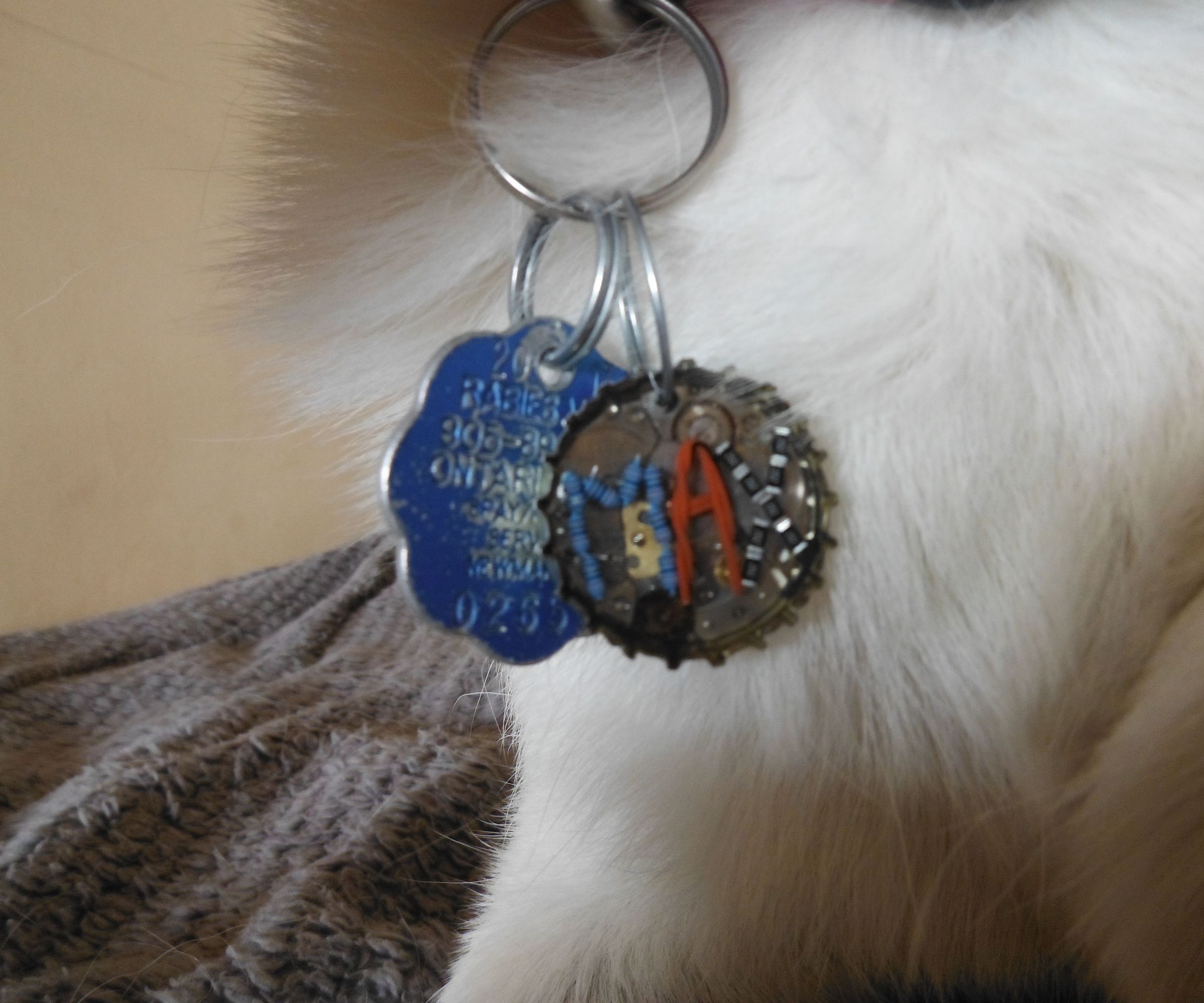 Step-by-step guide for dog tag from recycled parts DIY Project DIY project