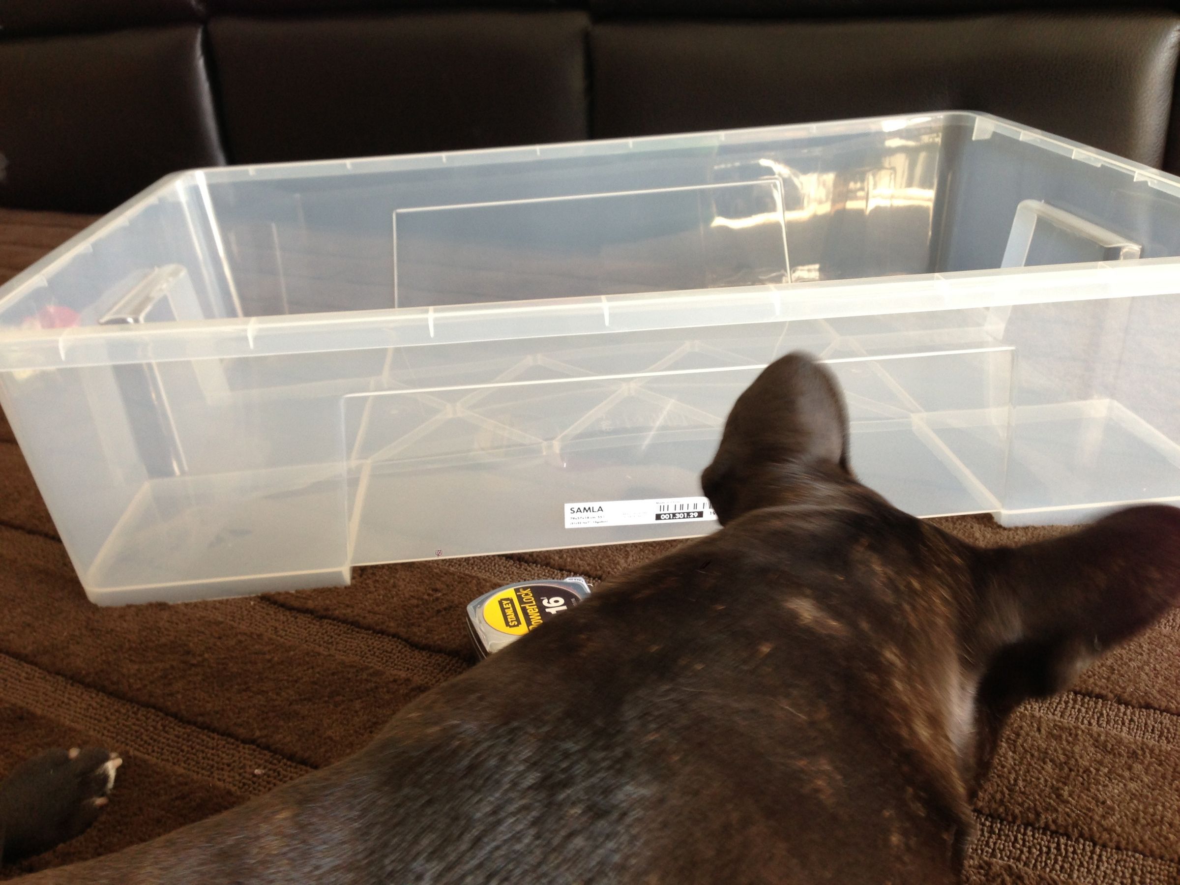 Giant Litter Box 4 Steps (with Pictures) Instructables