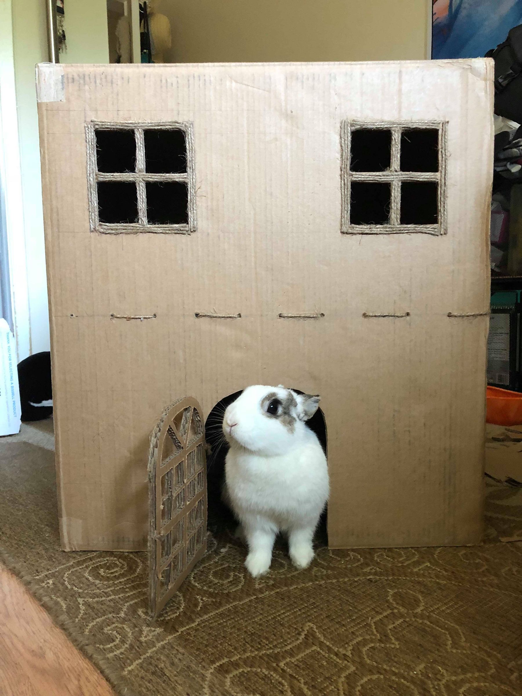 Cardboard Bunny House 13 Steps Instructables