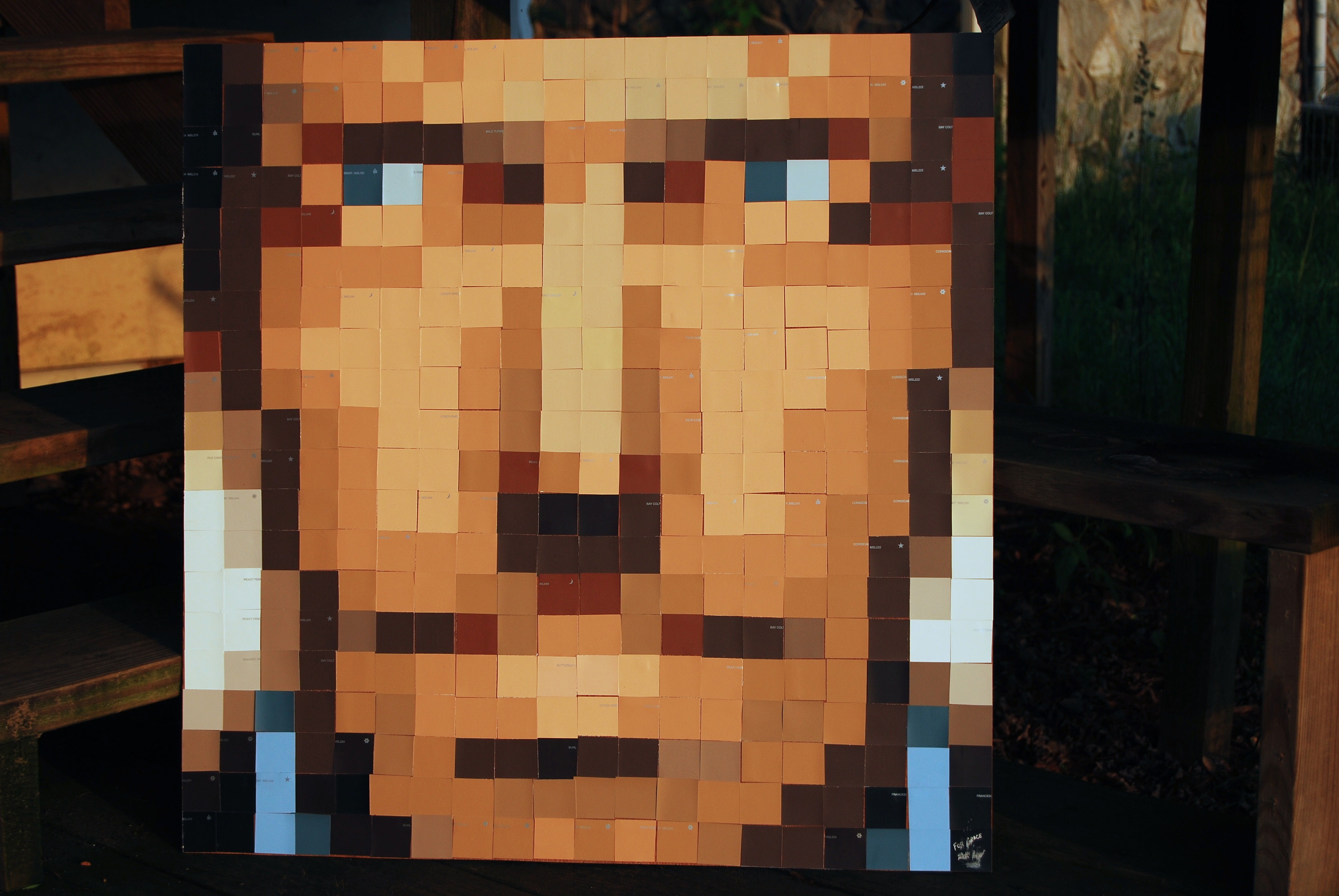 Photo Mosaic From Paint Swatches