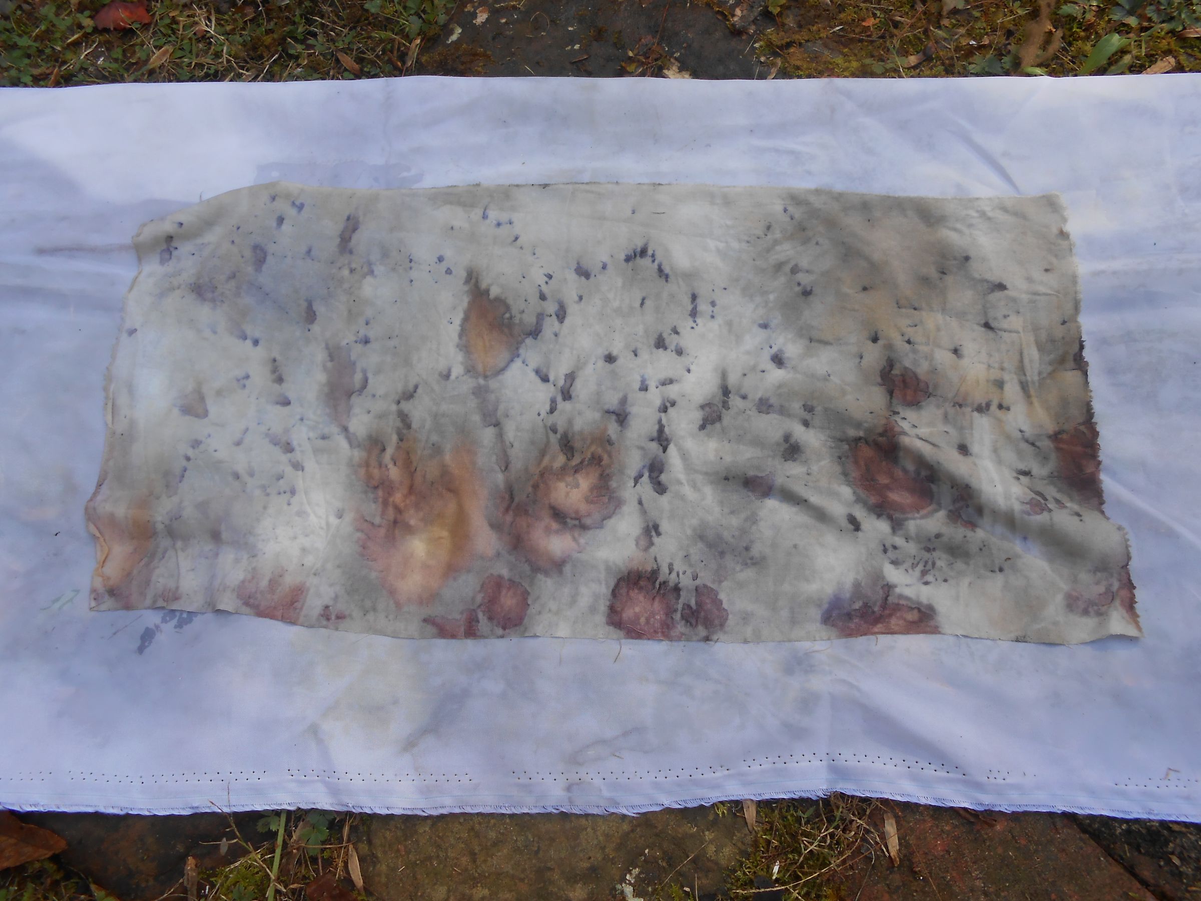 EcoPrinting With Rust & Vinegar 6 Steps (with Pictures) Instructables