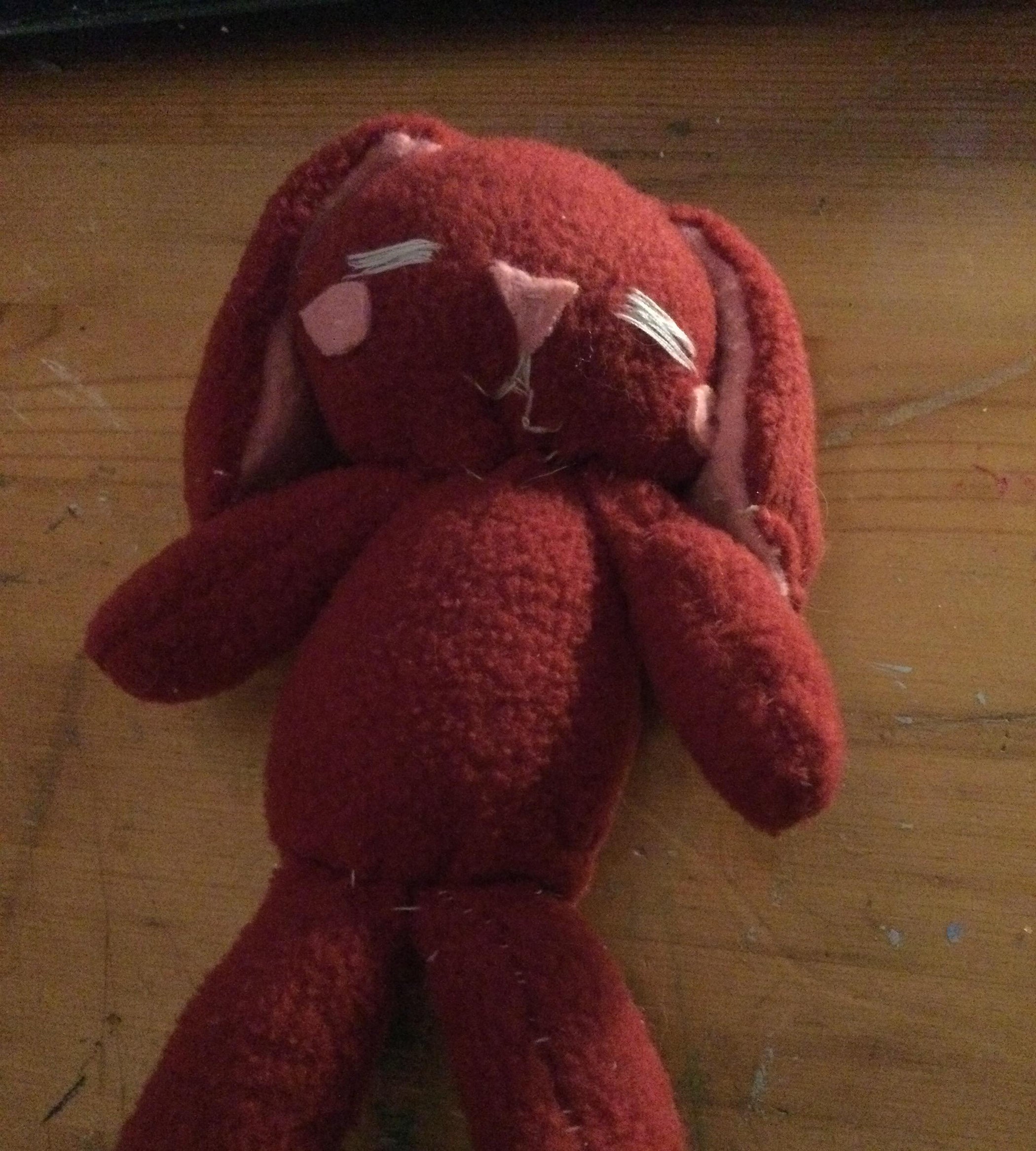 Warming Rabbit 5 Steps Instructables